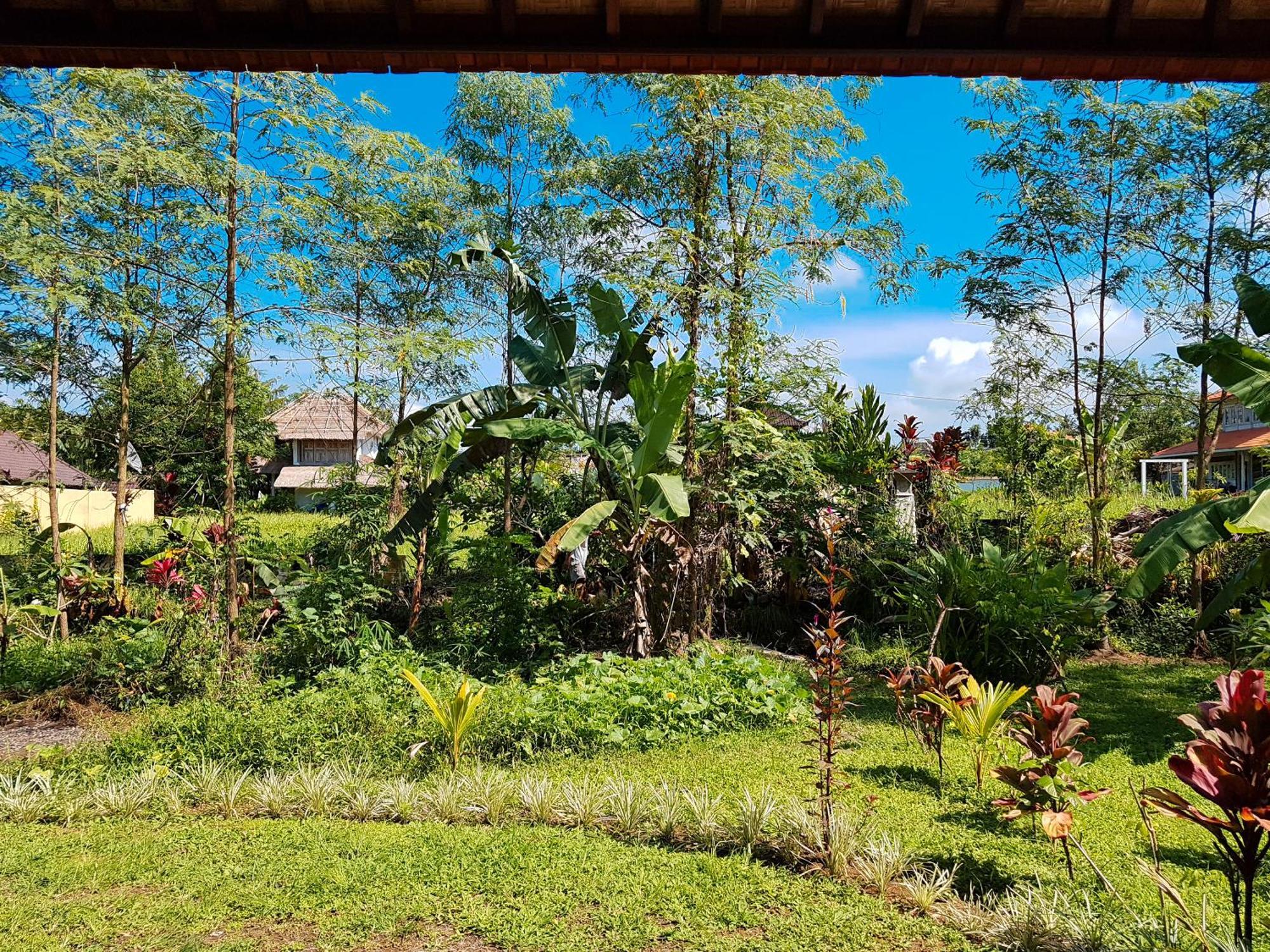 Santra Putra At Karja Art Space Rumah tetamu Ubud (Bali)