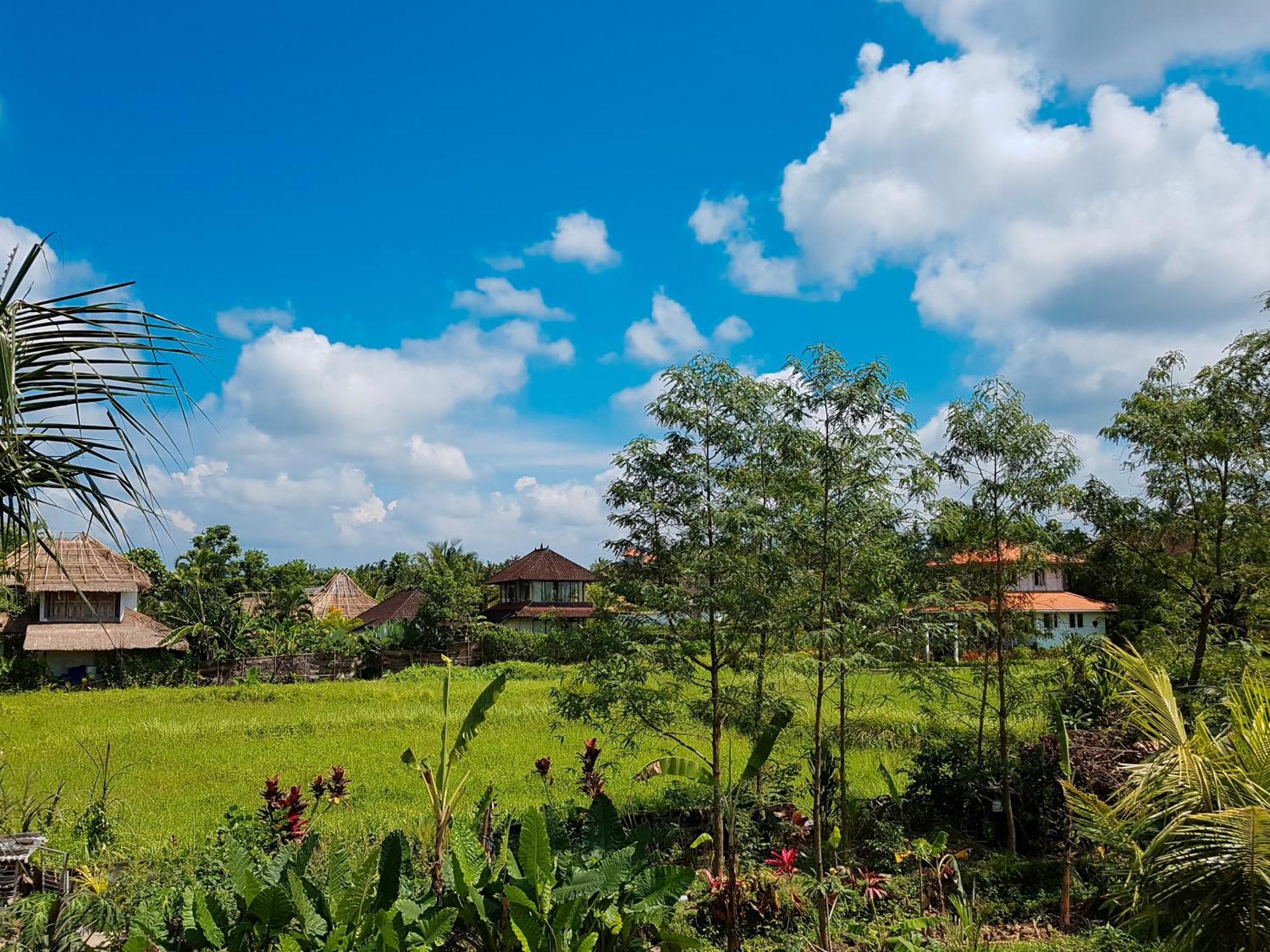 Santra Putra At Karja Art Space Rumah tetamu Ubud (Bali)