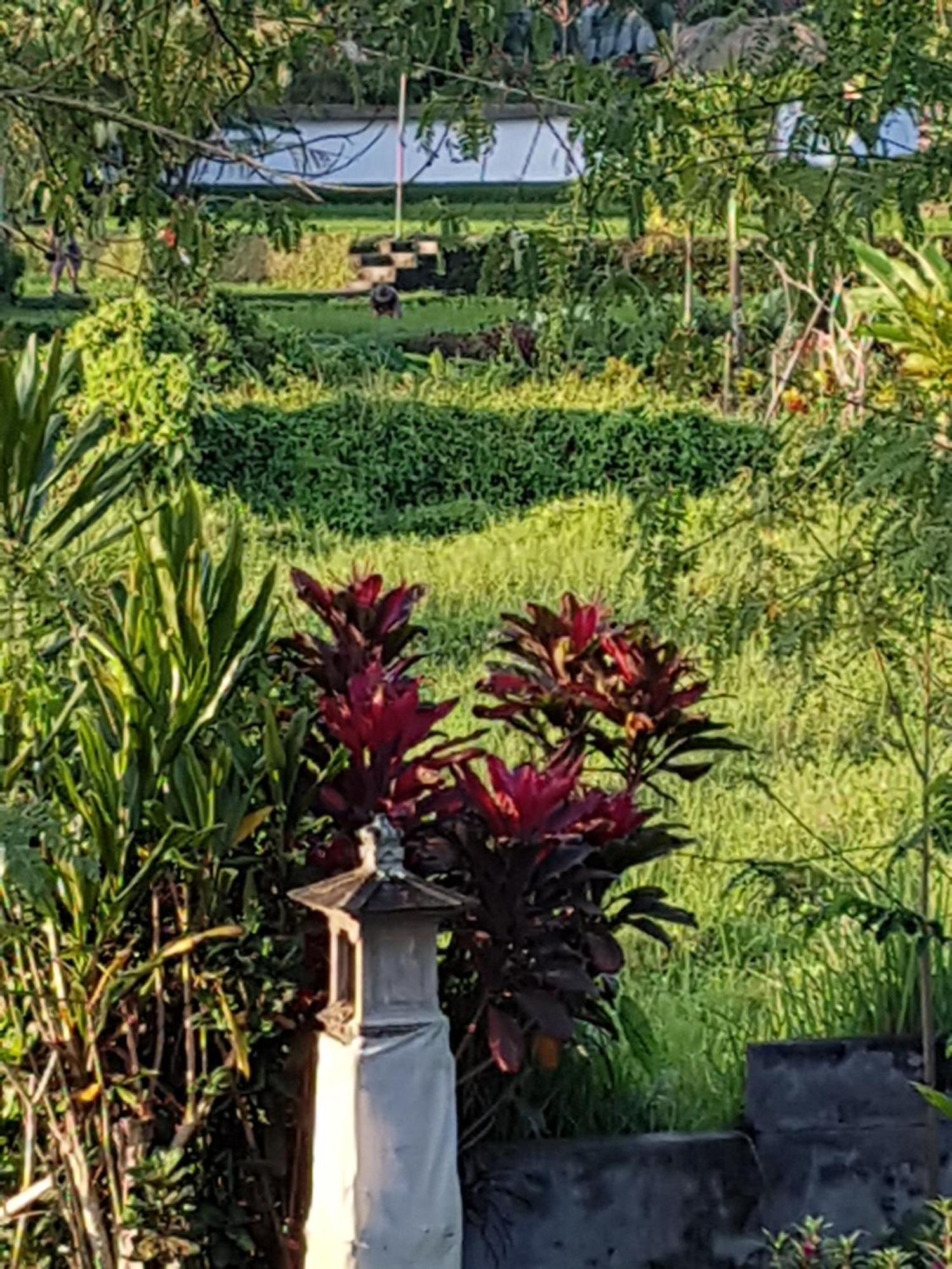 Santra Putra At Karja Art Space * Ubud (Bali)