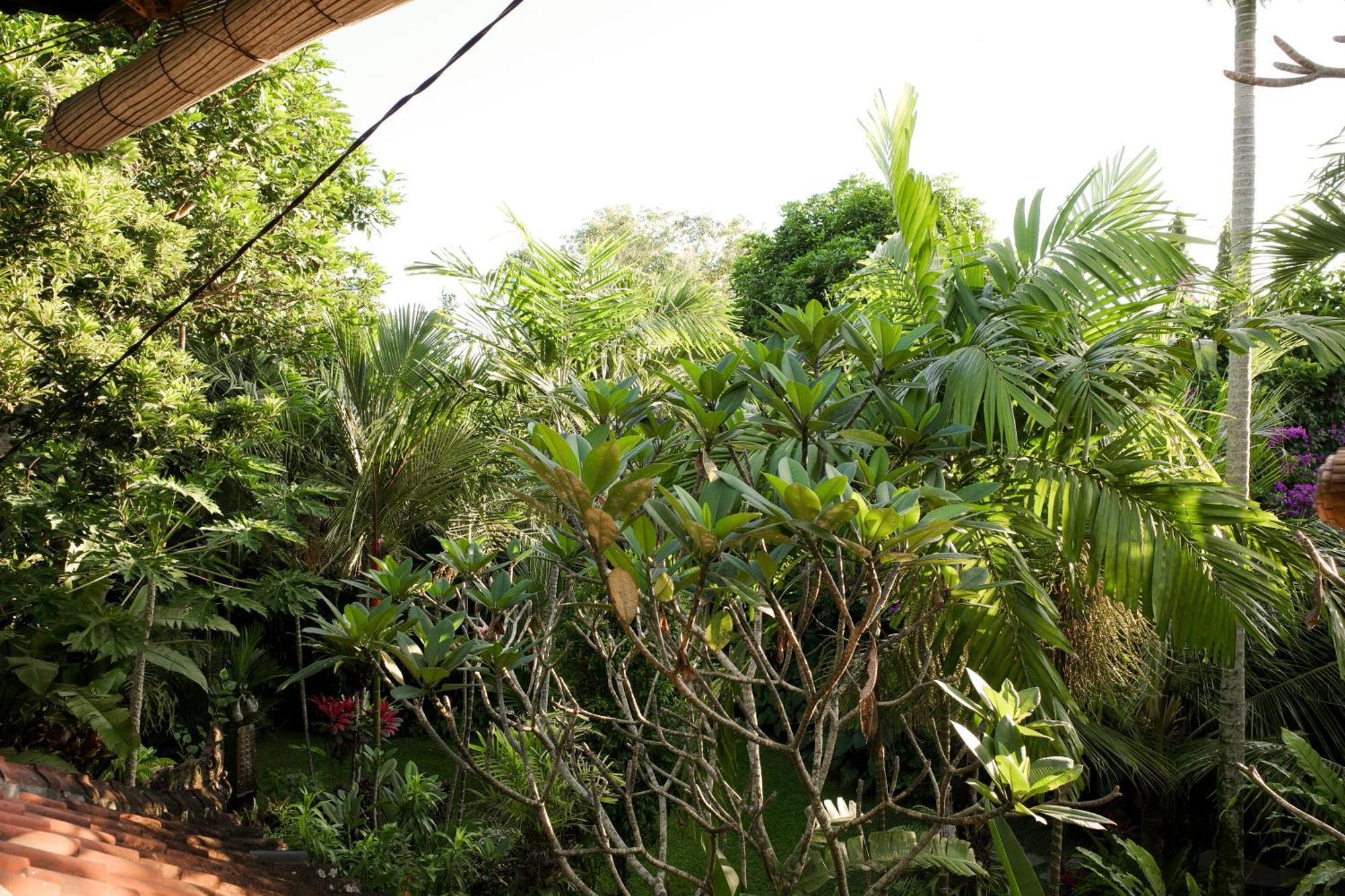 Rumah tetamu Santra Putra At Karja Art Space Ubud (Bali)