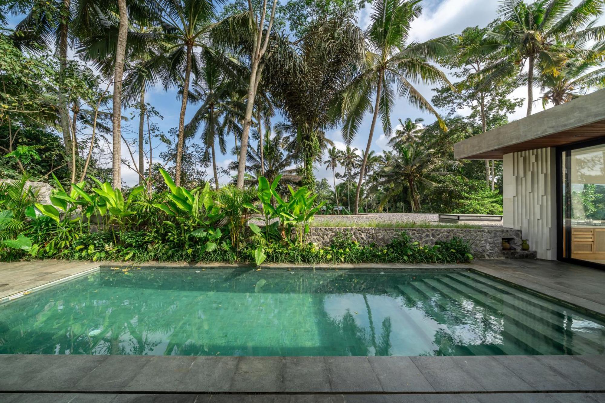 X9 - Promo - Brand New - 3bdr - Jungle - Villa