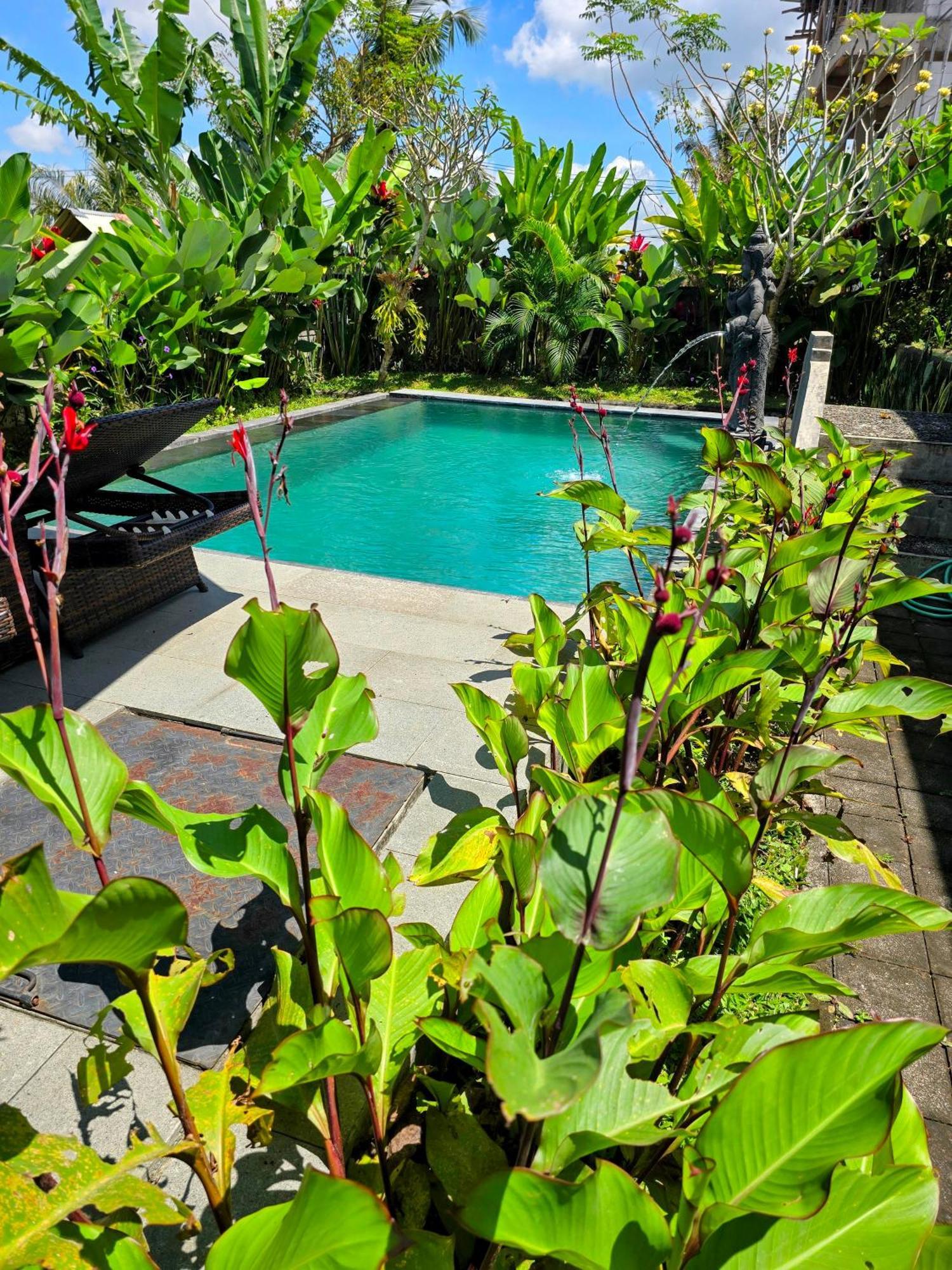 Suija Ubud (Bali)