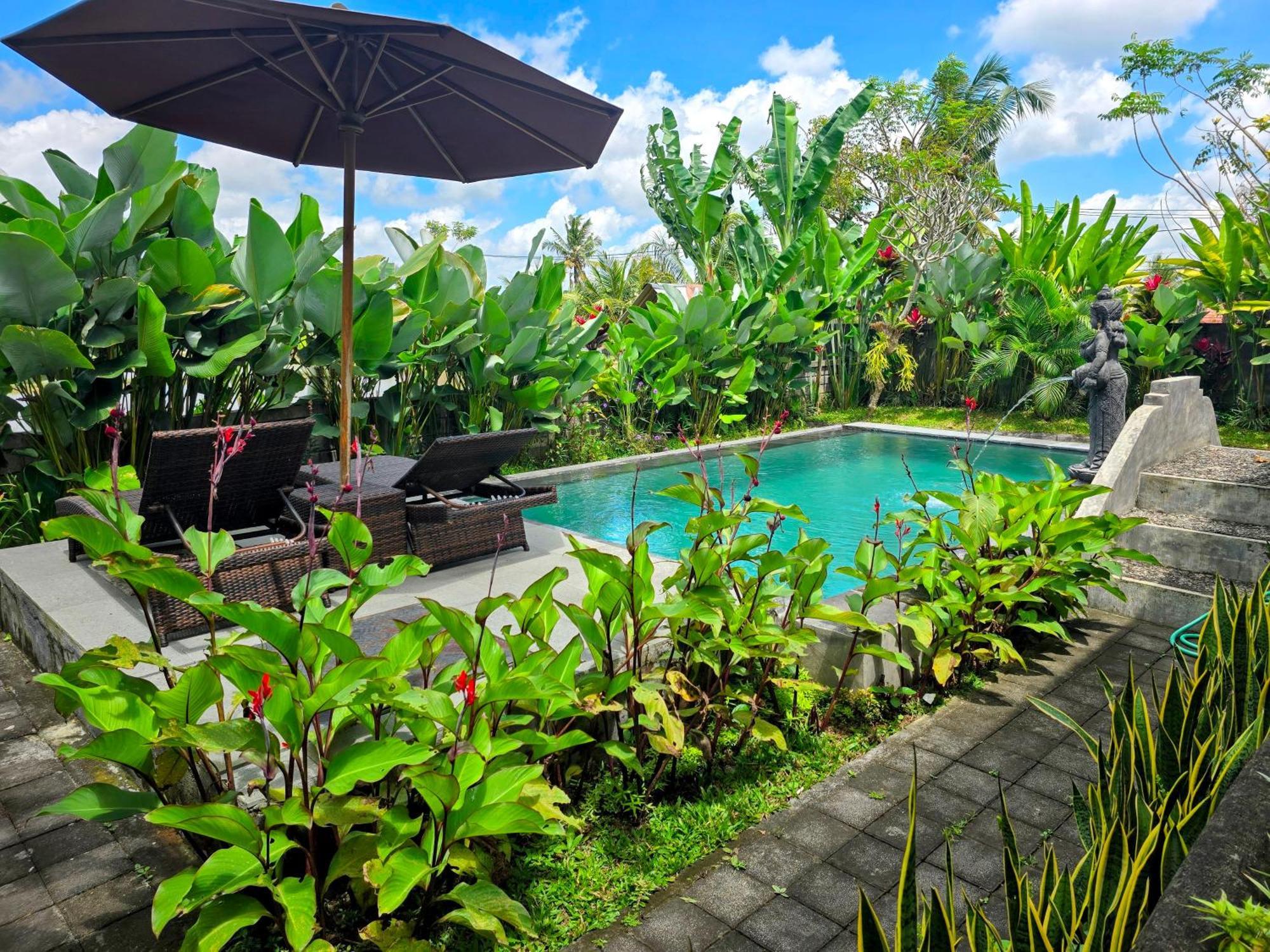 Suija Villa *