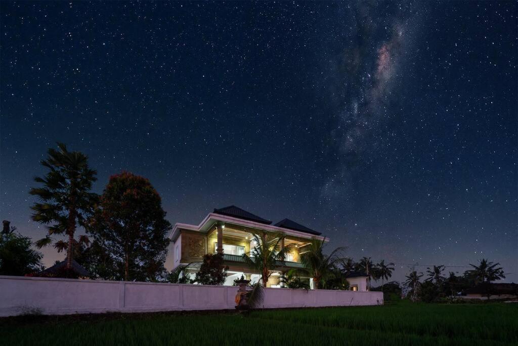 Didori Art - Serene View Of And Sunset Ubud (Bali)