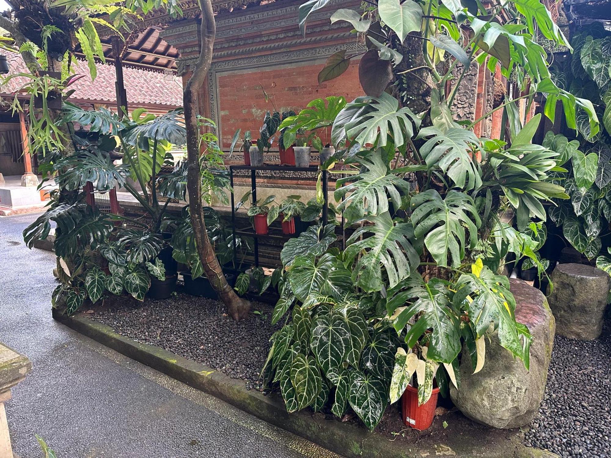 Casa de hóspedes Naeera *