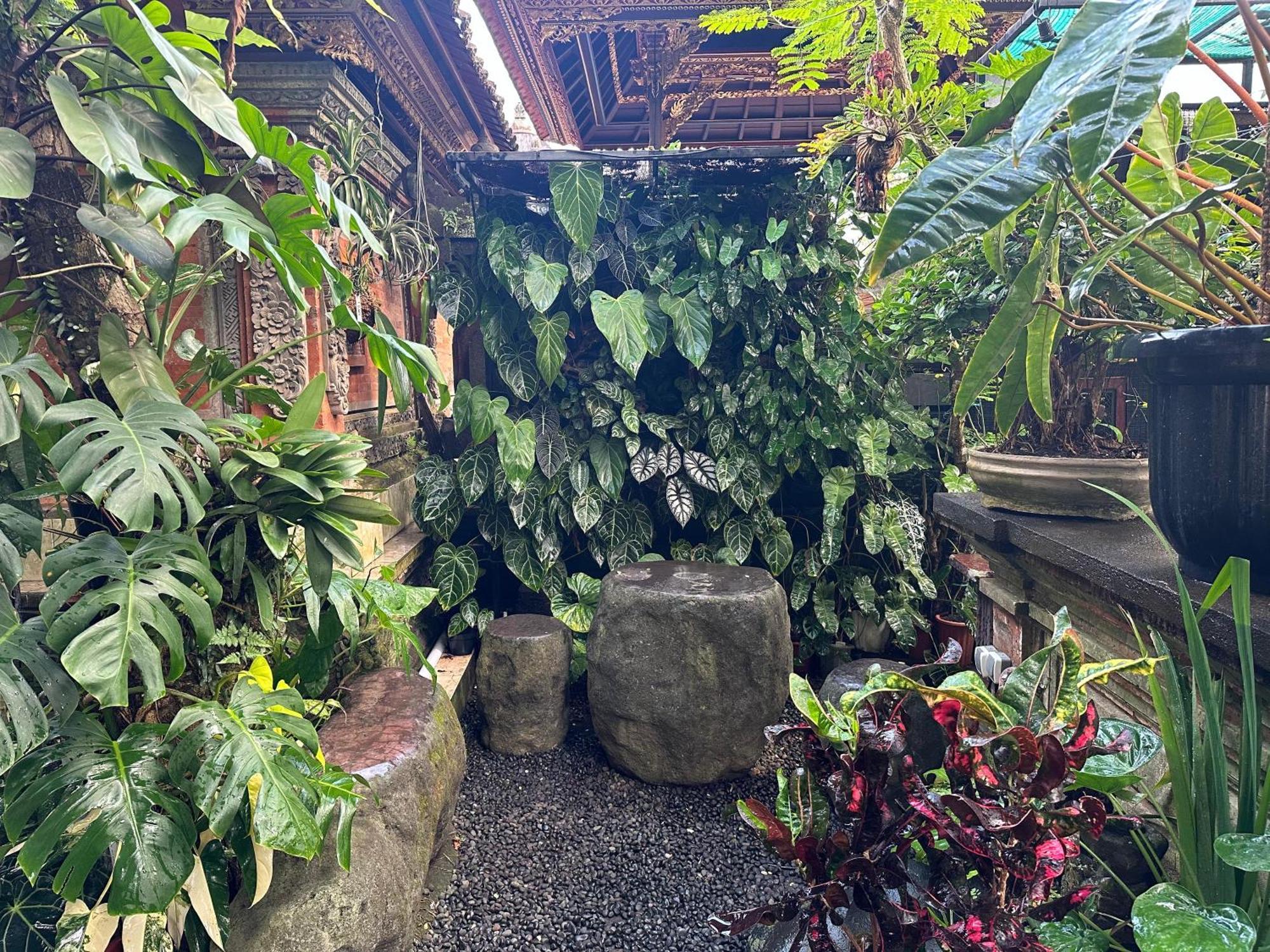 Naeera Ubud