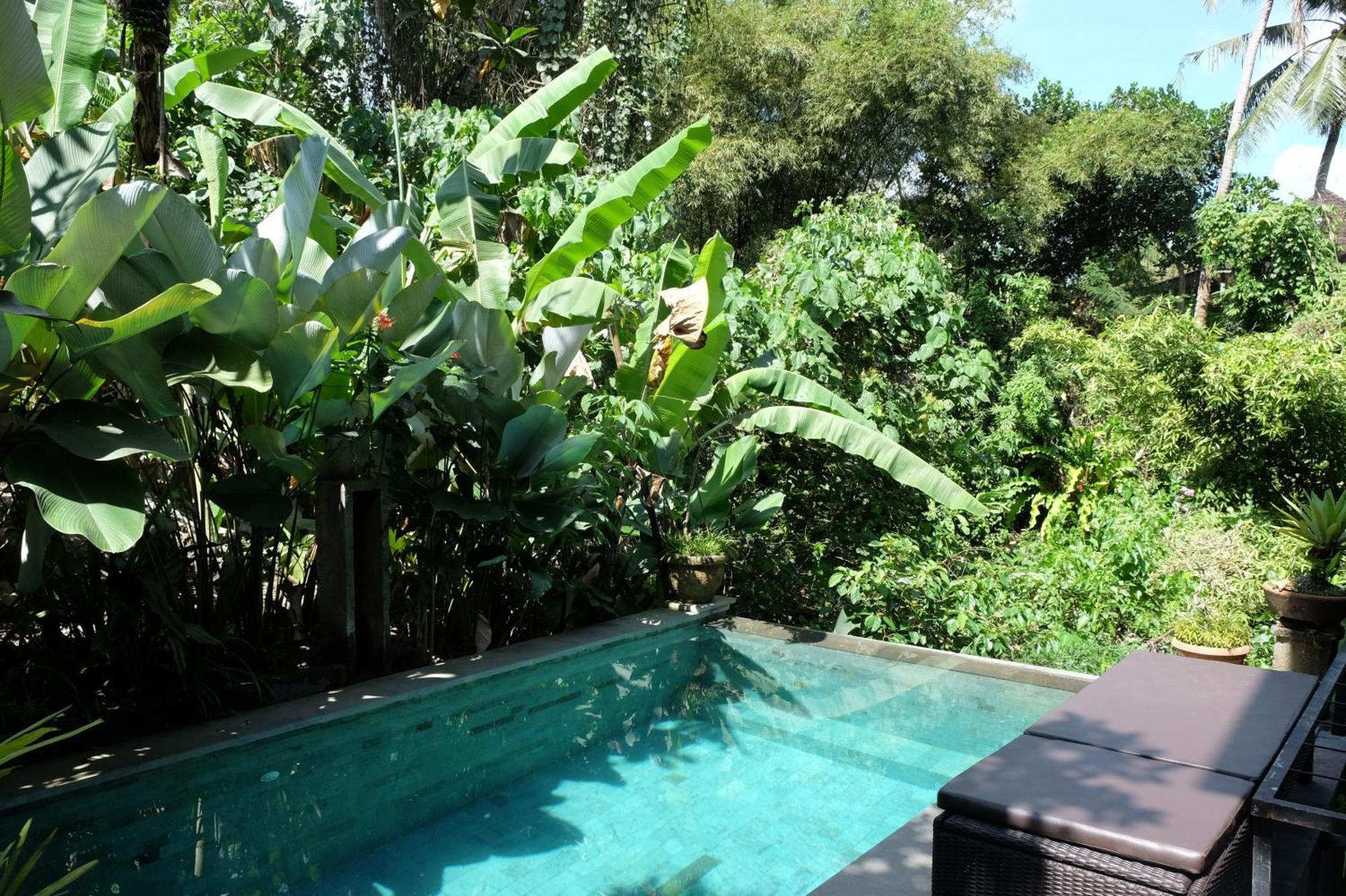 Suastika Guest house