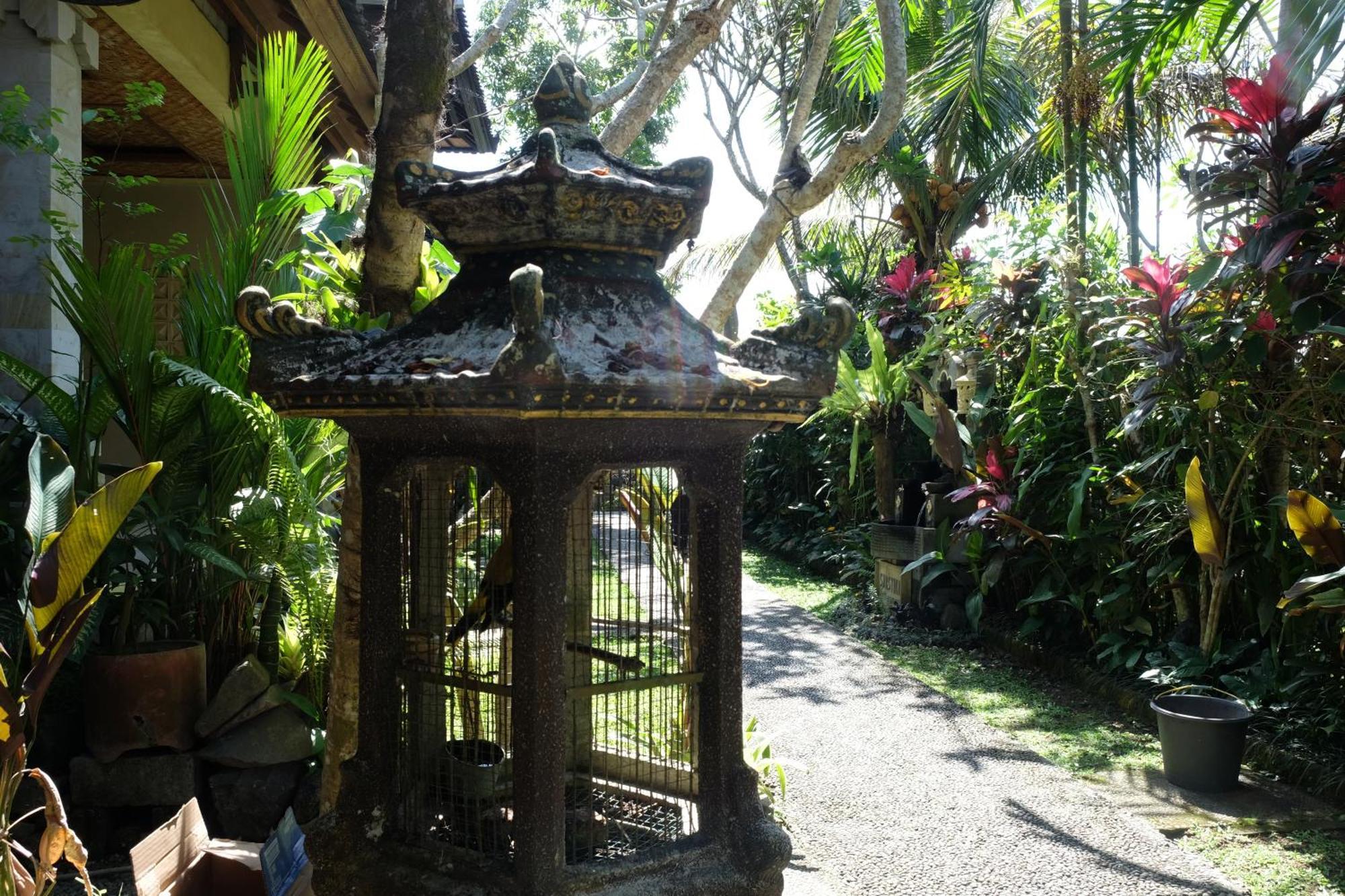 Suastika Guest house 2*
