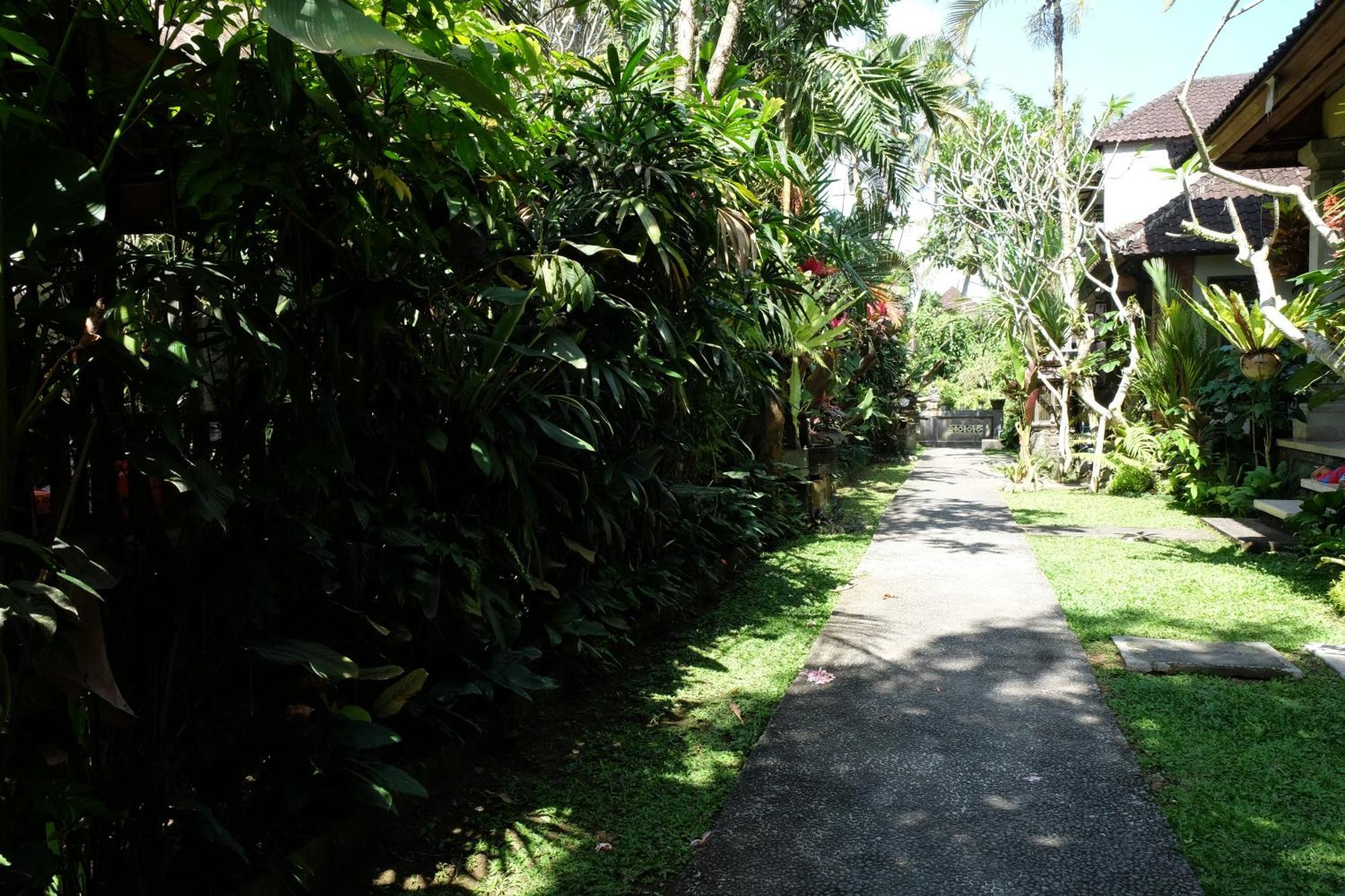 Suastika 2* Ubud (Bali)