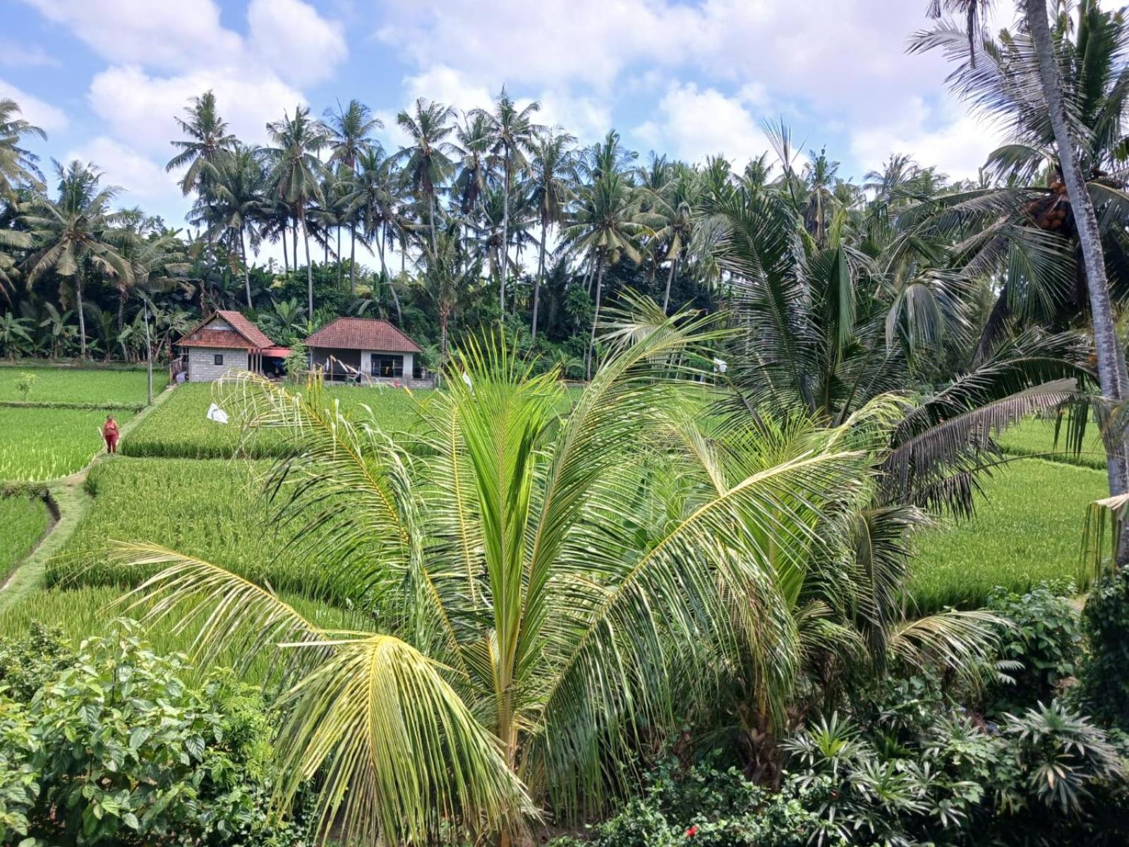 Accommodatie bij particulieren Sunset Pandawa Ubud