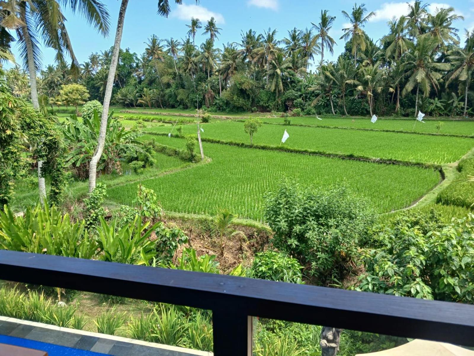 Sunset Pandawa Accommodatie bij particulieren