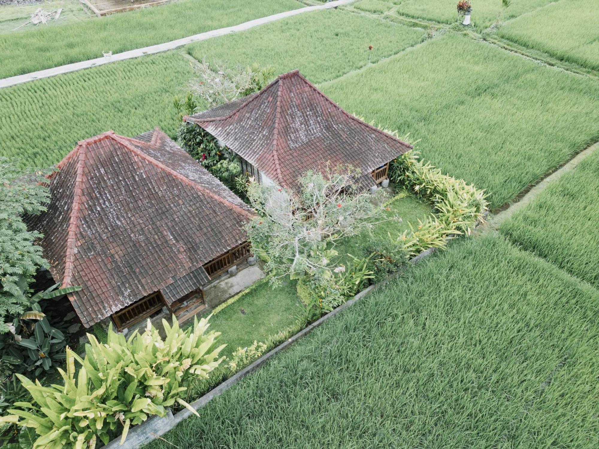Umadesa Rumah tetamu Ubud (Bali)