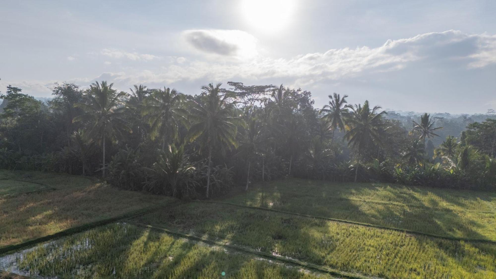 Pousada Aditara Sebatu *
