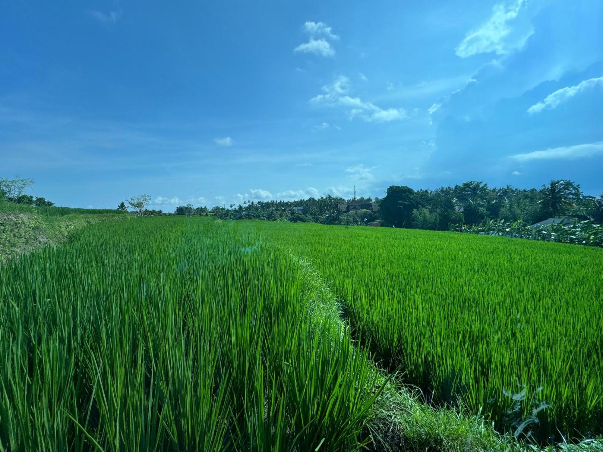 Kari Senja Luxury * Ubud