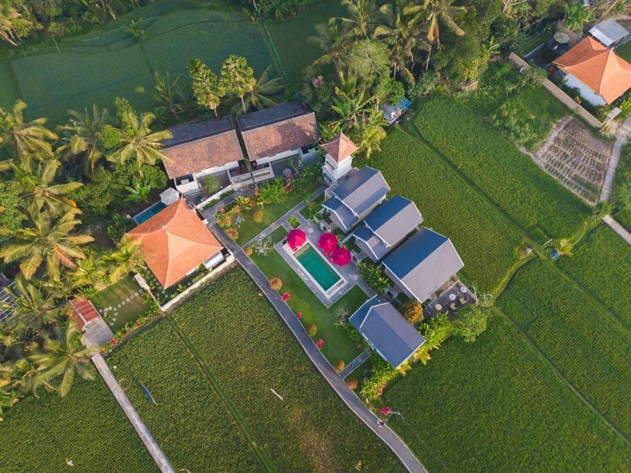 Apartment Beauty Loft One Bedroom Ubud (Bali)