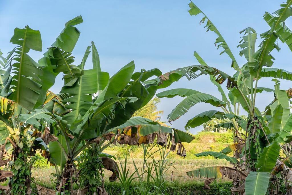 Casa Tua - Hidden Gem Views Ubud (Bali)