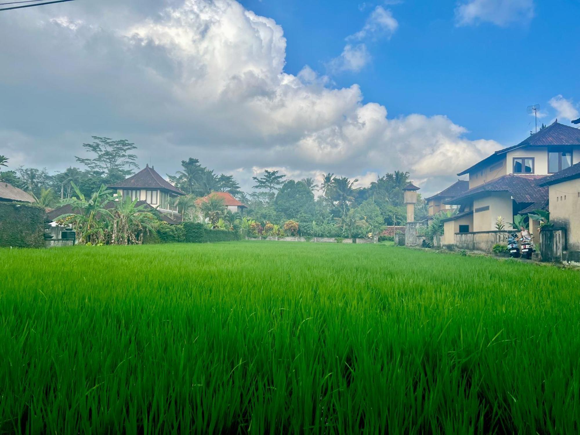 Kolibri The Beautiful Private With Private Pool Villa Ubud (Bali)