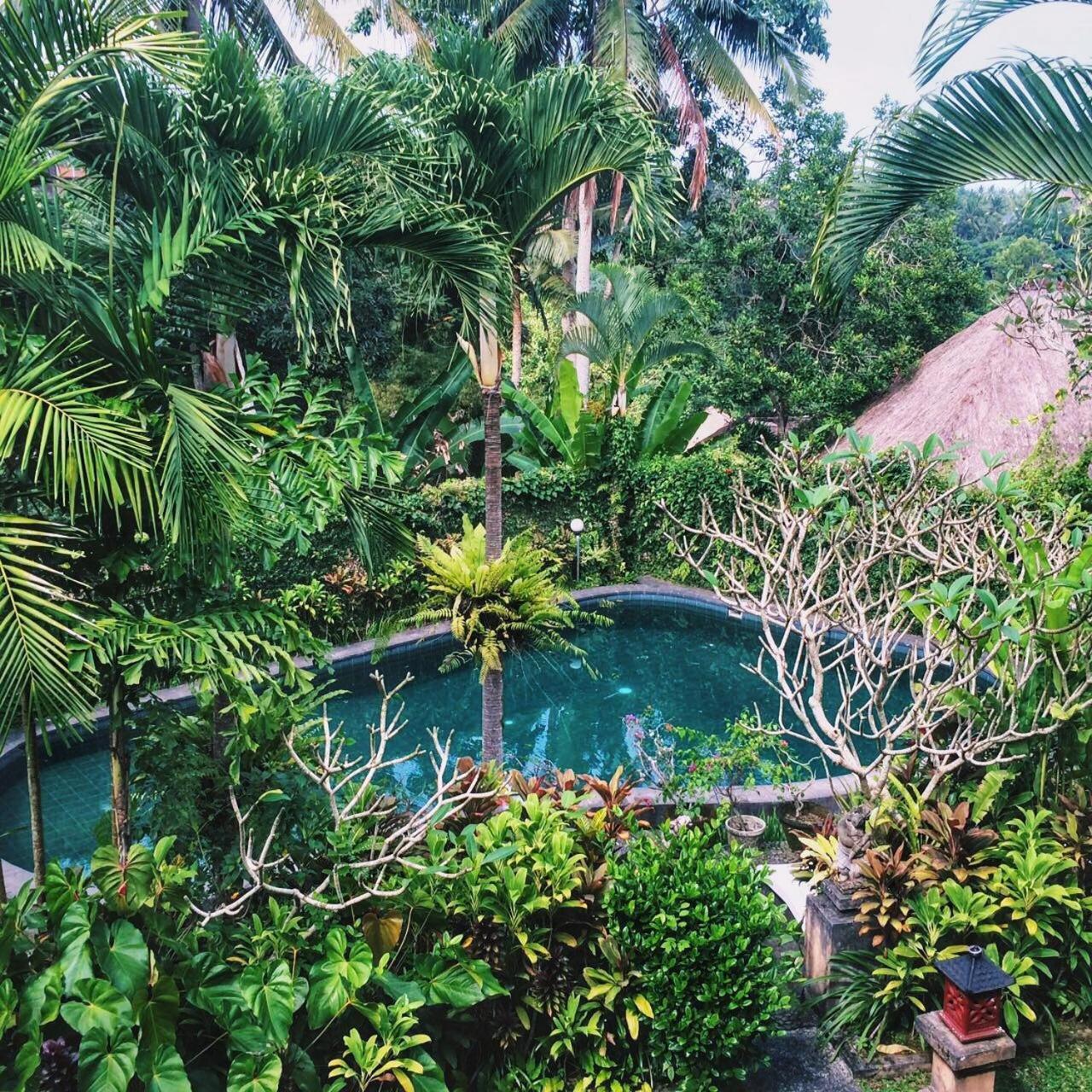 Anomcottages Ubud (Bali)