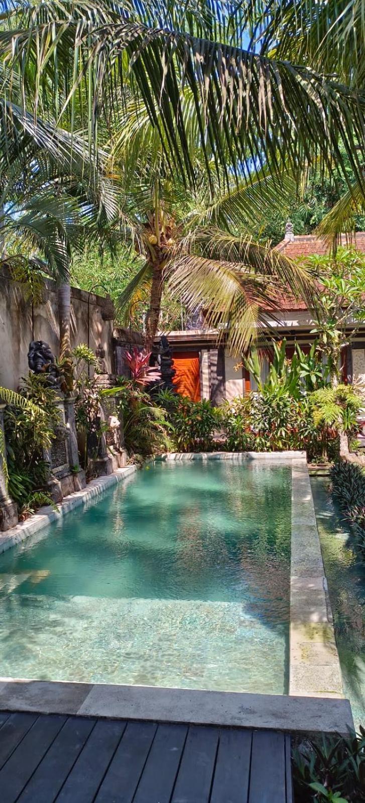 Guest house The Palm