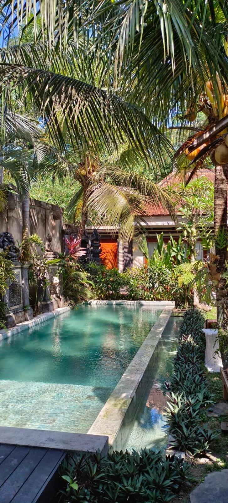 The Palm