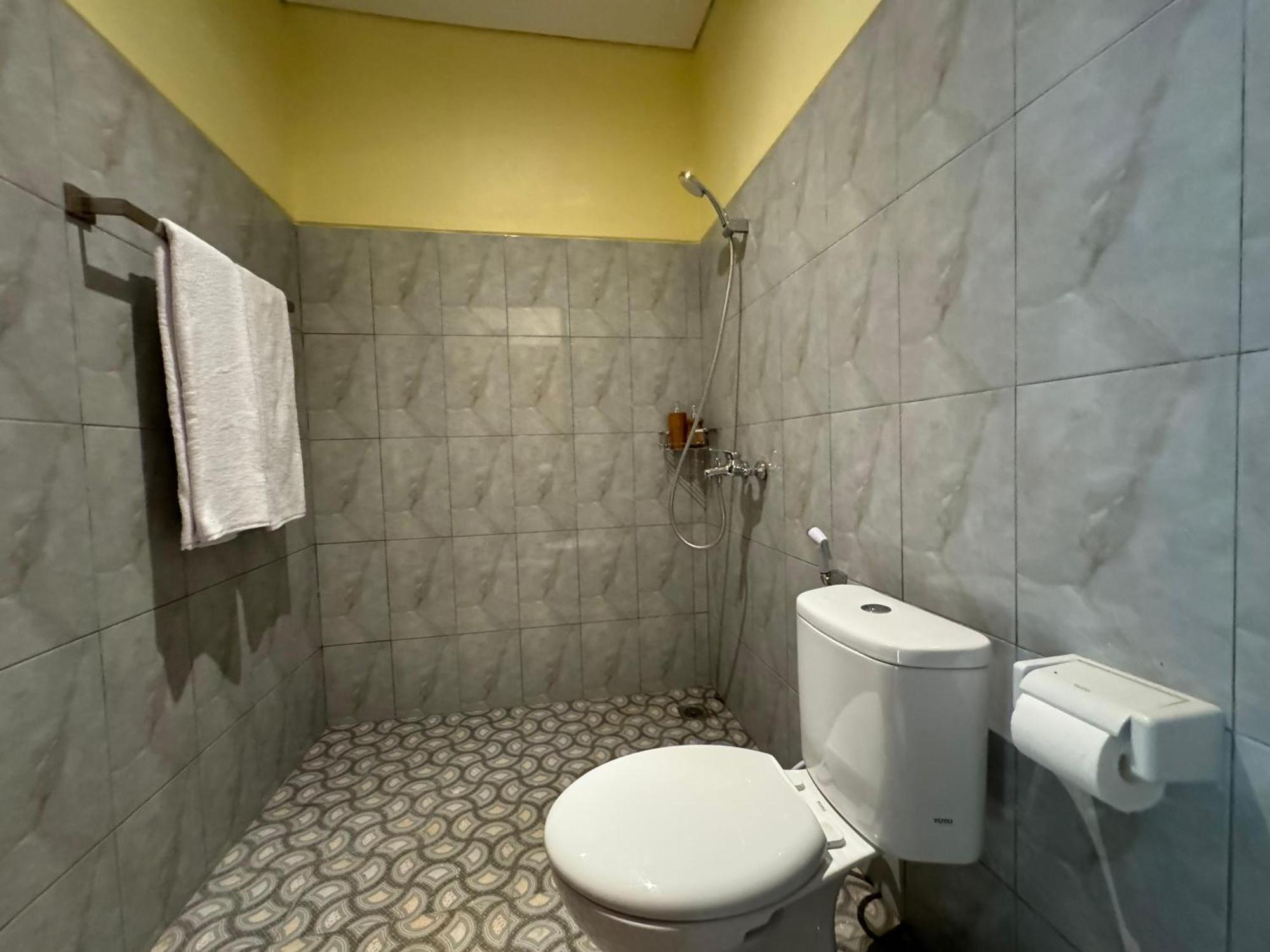 Guest house Aruna House *