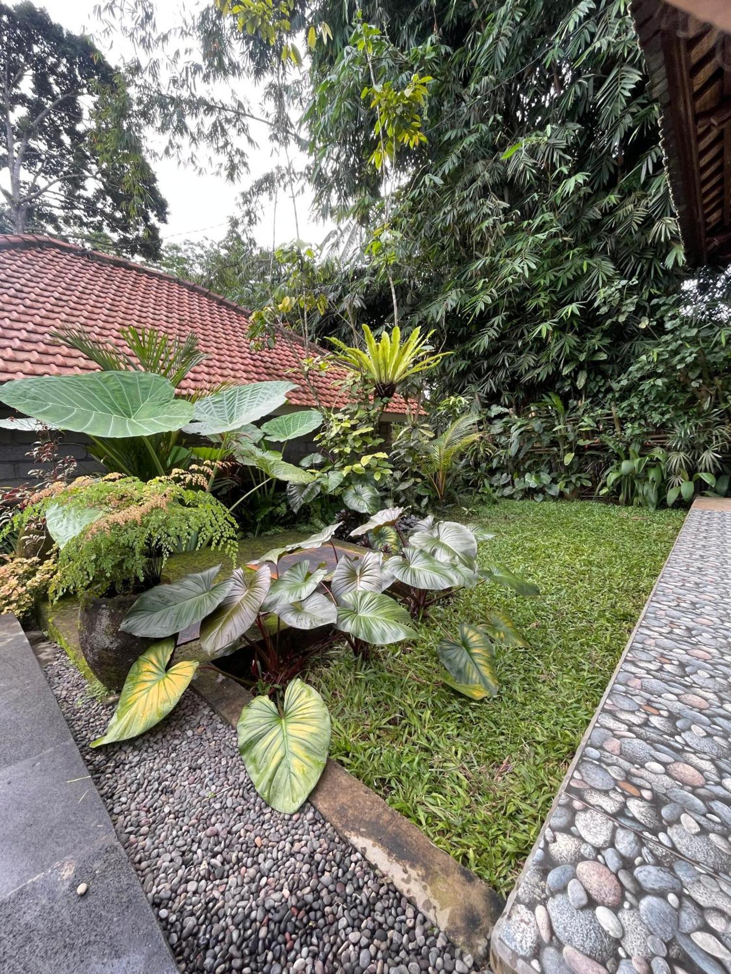 One Bedroom Private Pool And Kitchen