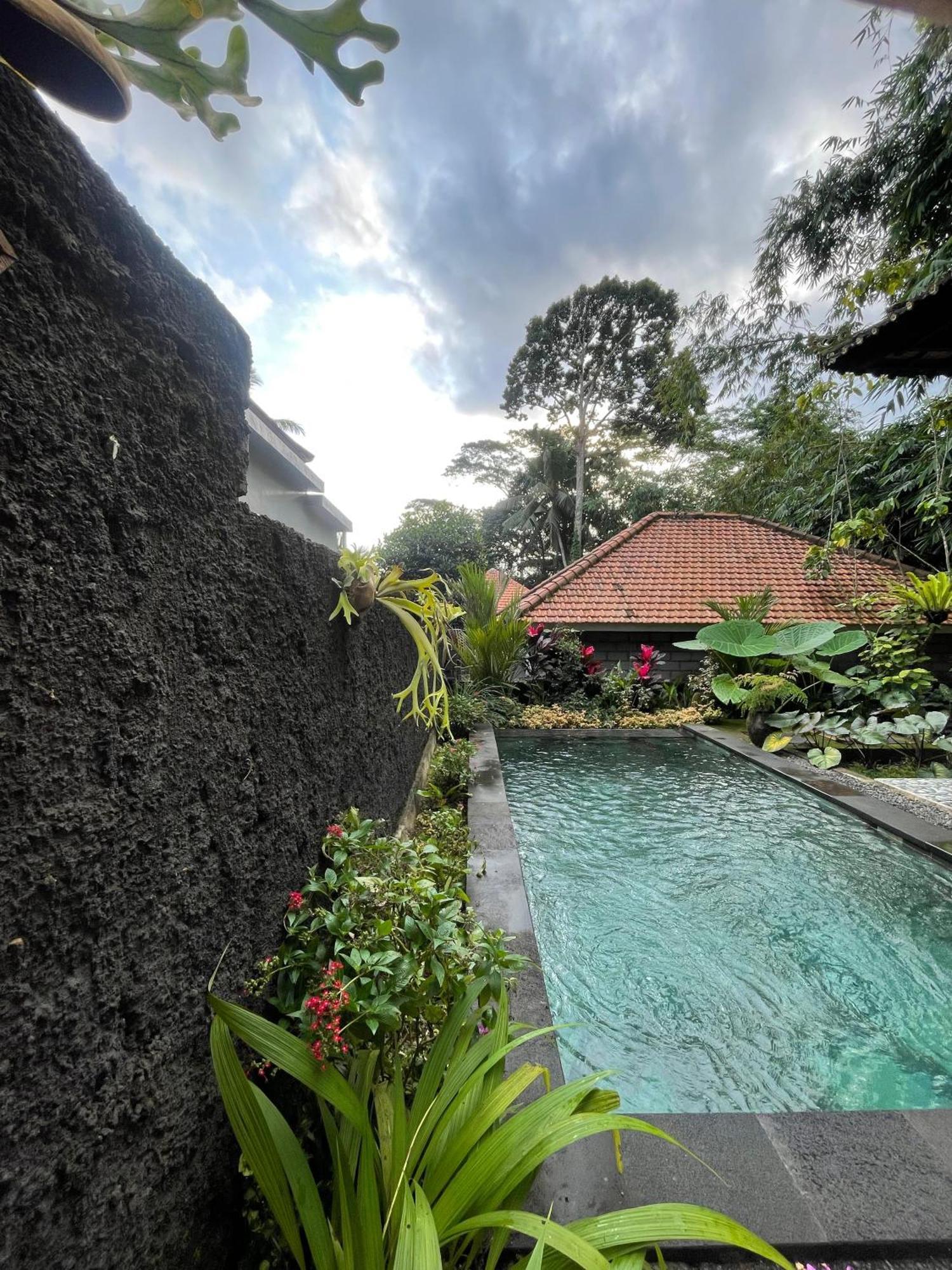 Villa One Bedroom Private Pool And Kitchen *