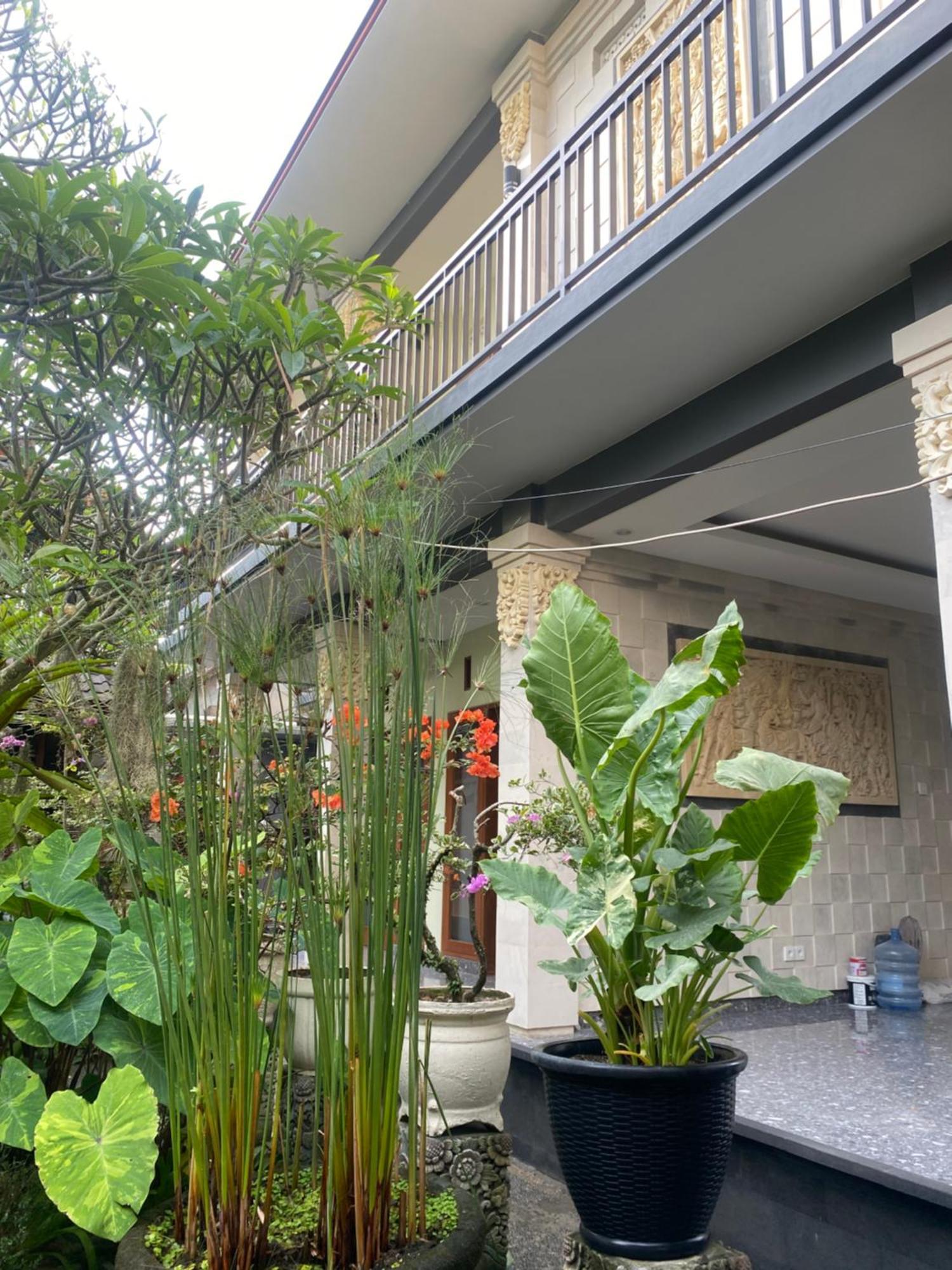 Rumah tetamu Suryadina *