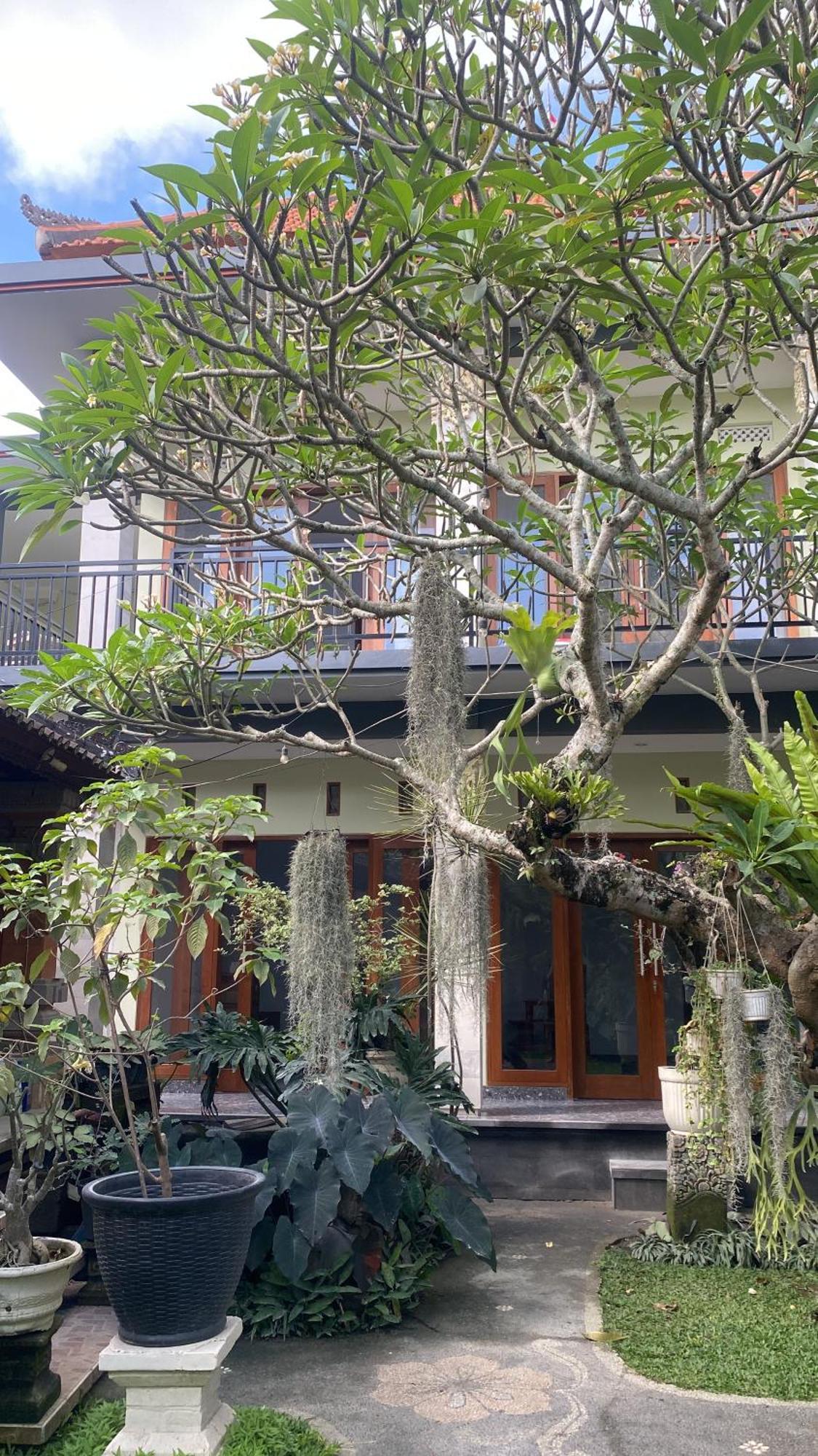 Suryadina Gasthuis Ubud