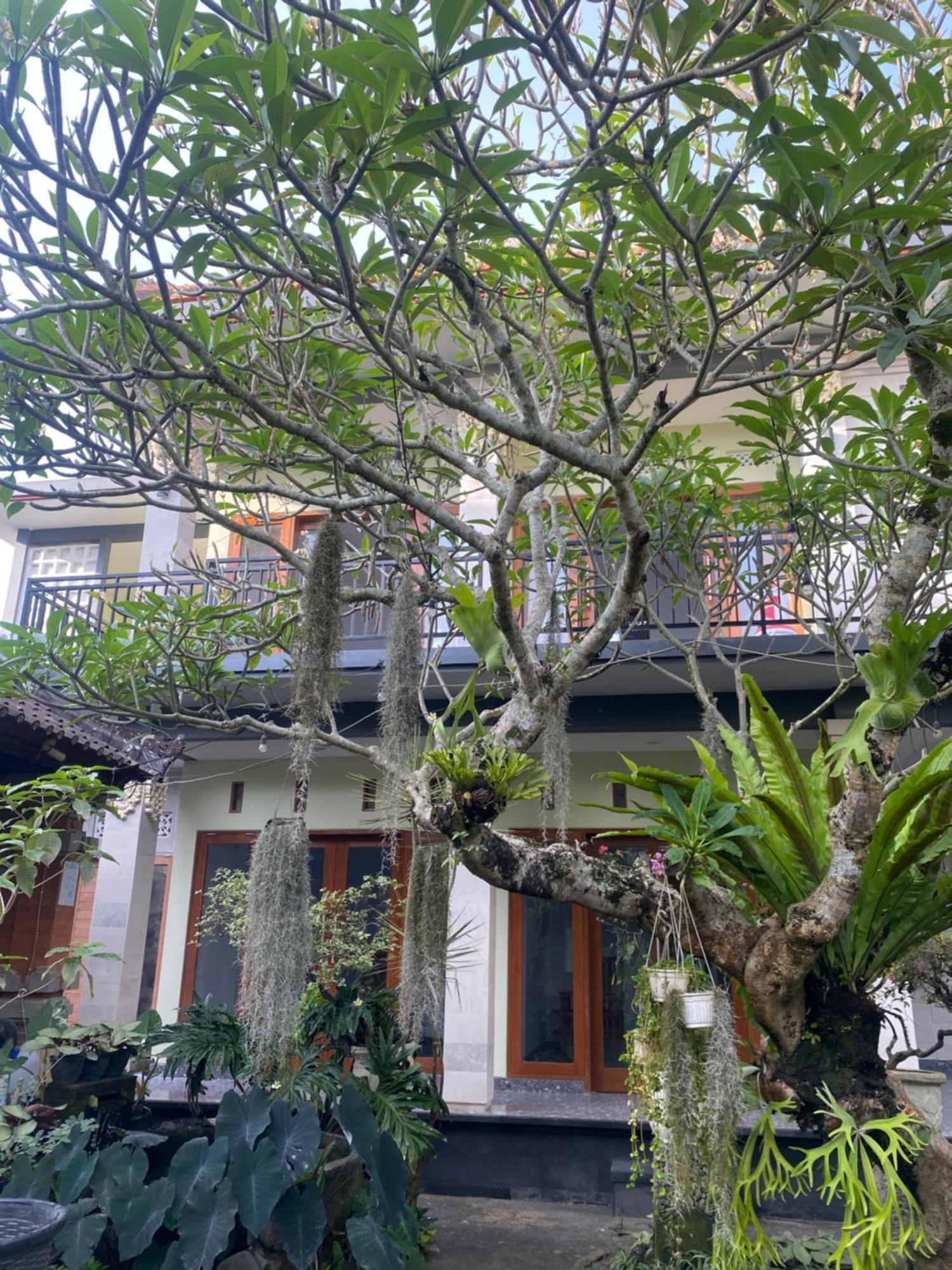 Gasthuis Suryadina Ubud