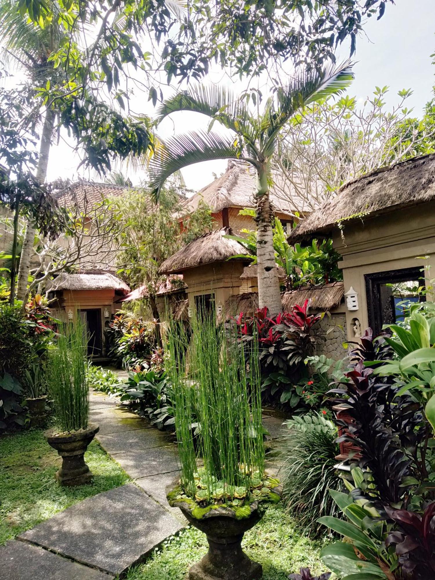 Anomcottages *