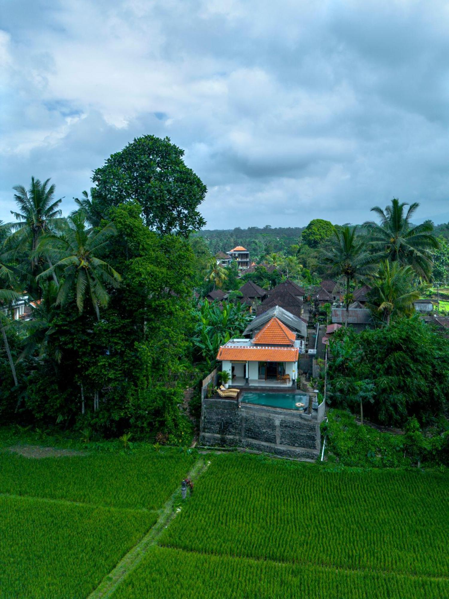 Jatining & Lodge