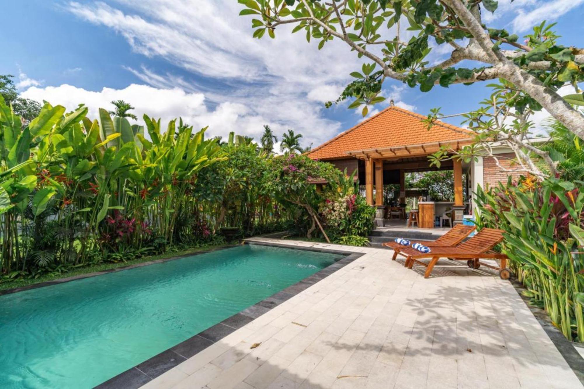 3 Beagle Gasthof Ubud