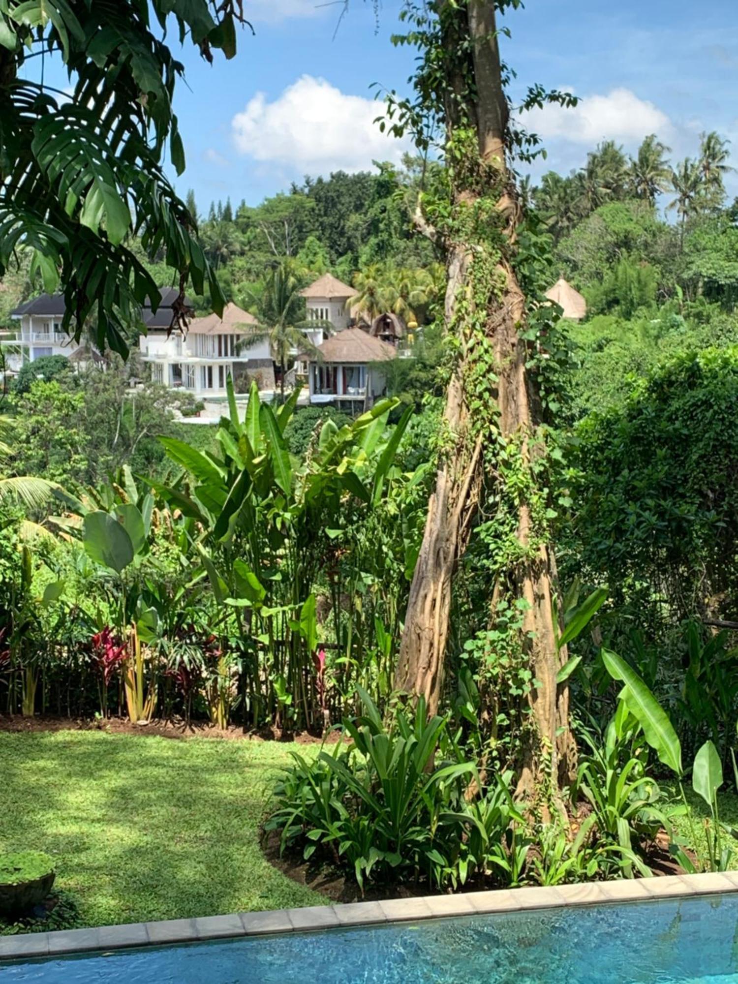 Villa Loft Ithaka Ubud (Bali)