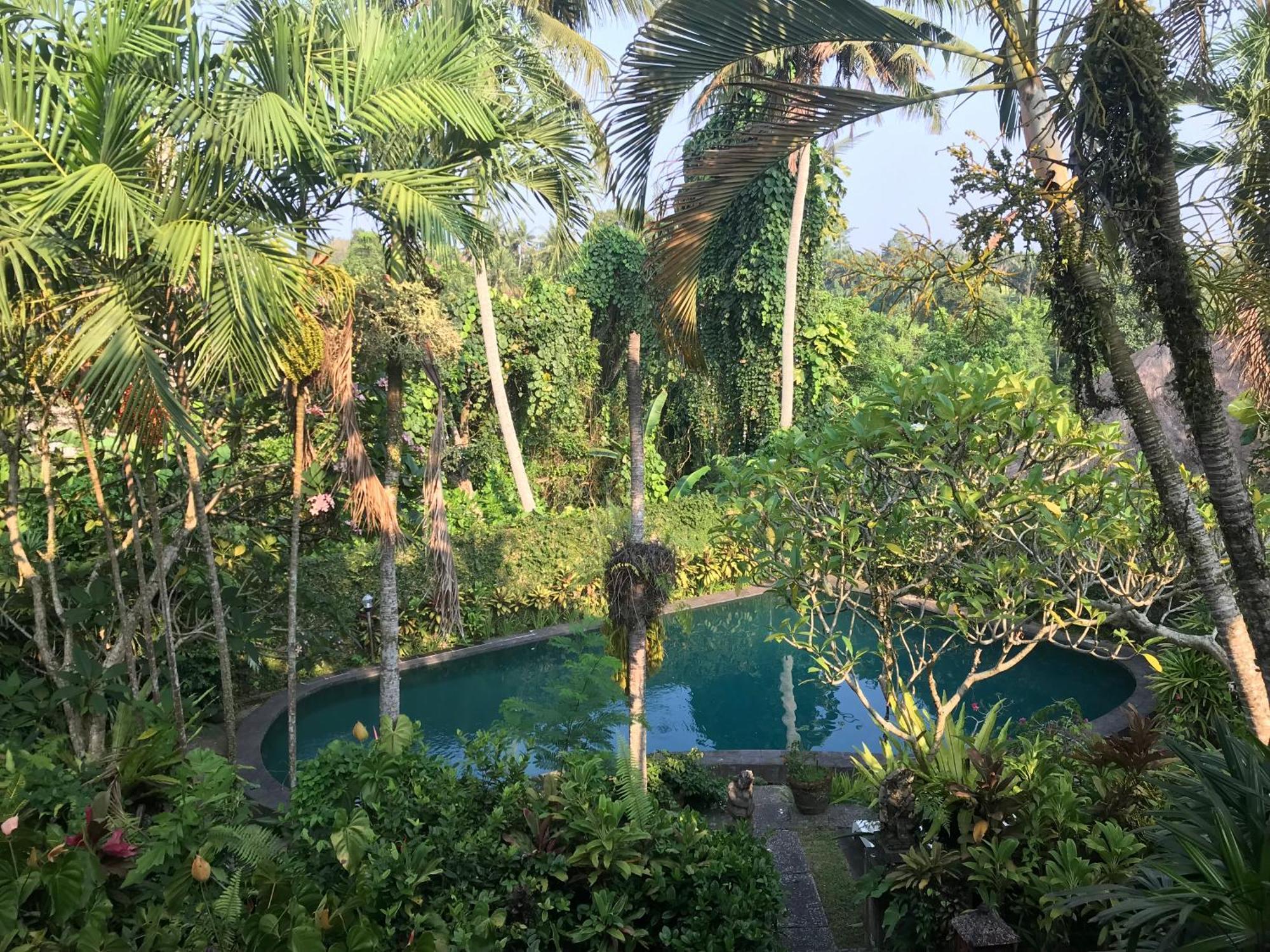 Anomcottages * Ubud (Bali)