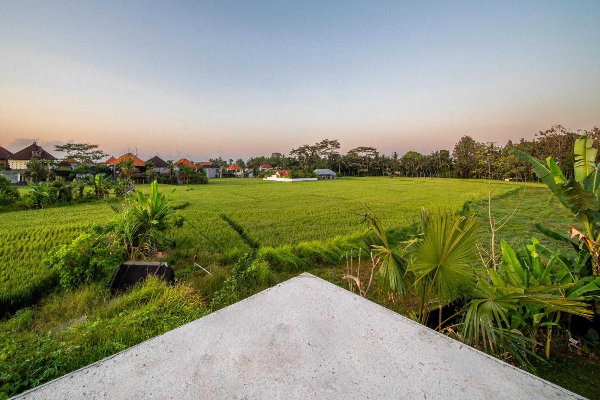 Terranea - Peaceful Haven * Ubud (Bali)