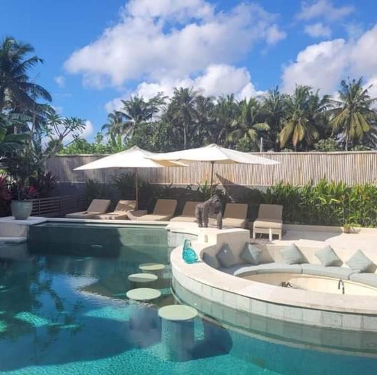 Mon Reve Villa Ubud (Bali)