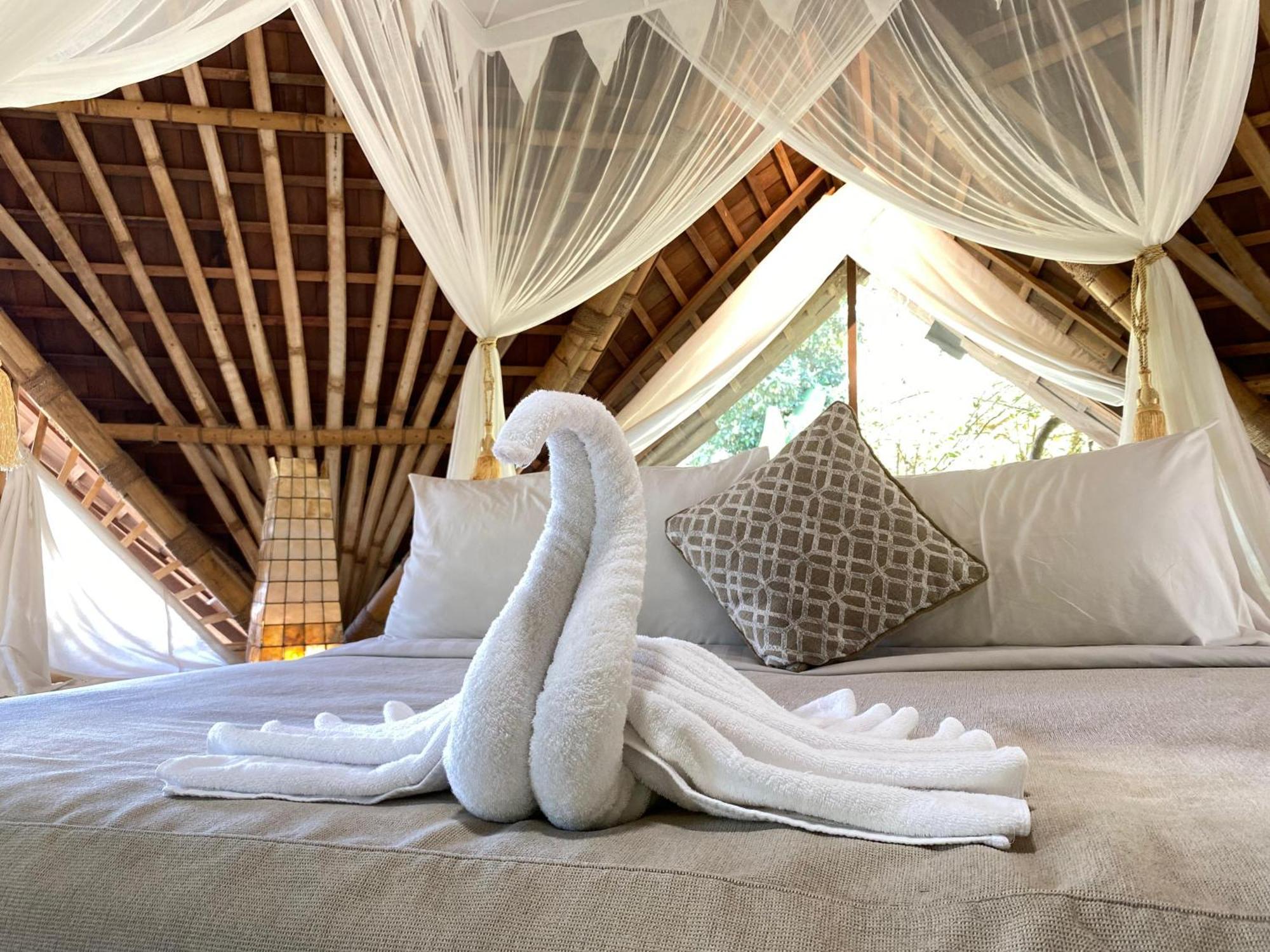Akasha New Earth Haven Guest house Ubud (Bali)