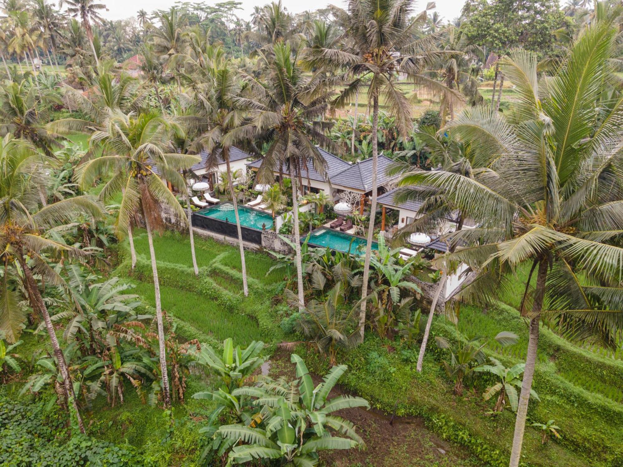 Graha Padi * Ubud (Bali)