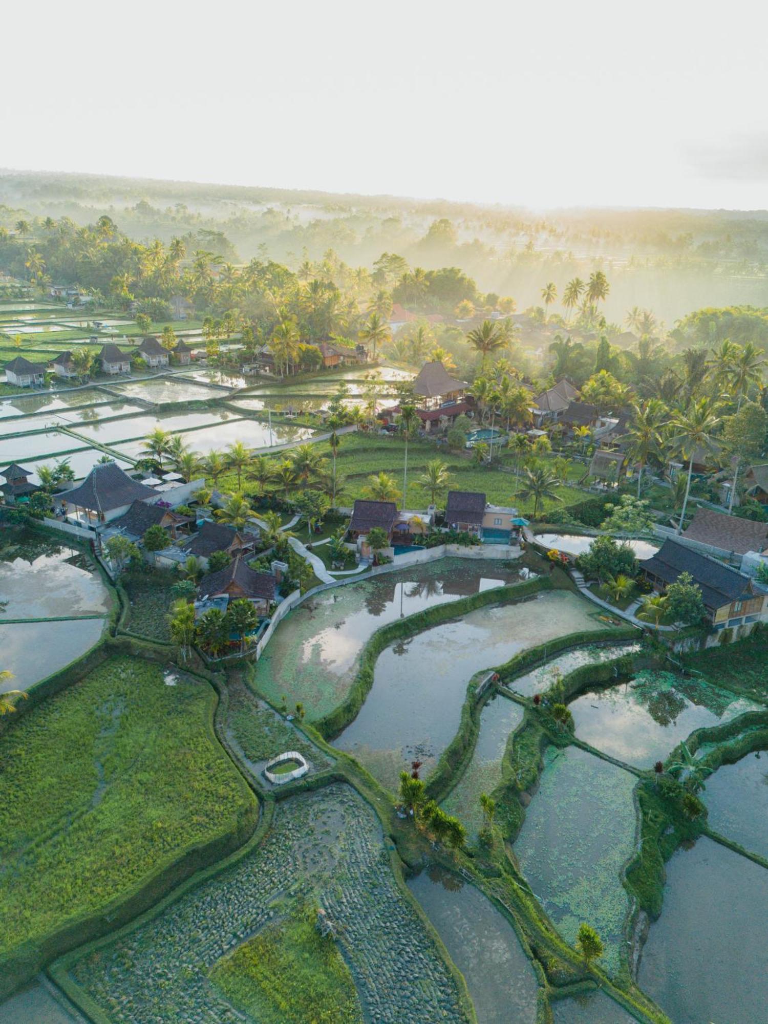 Taksu Sebatu