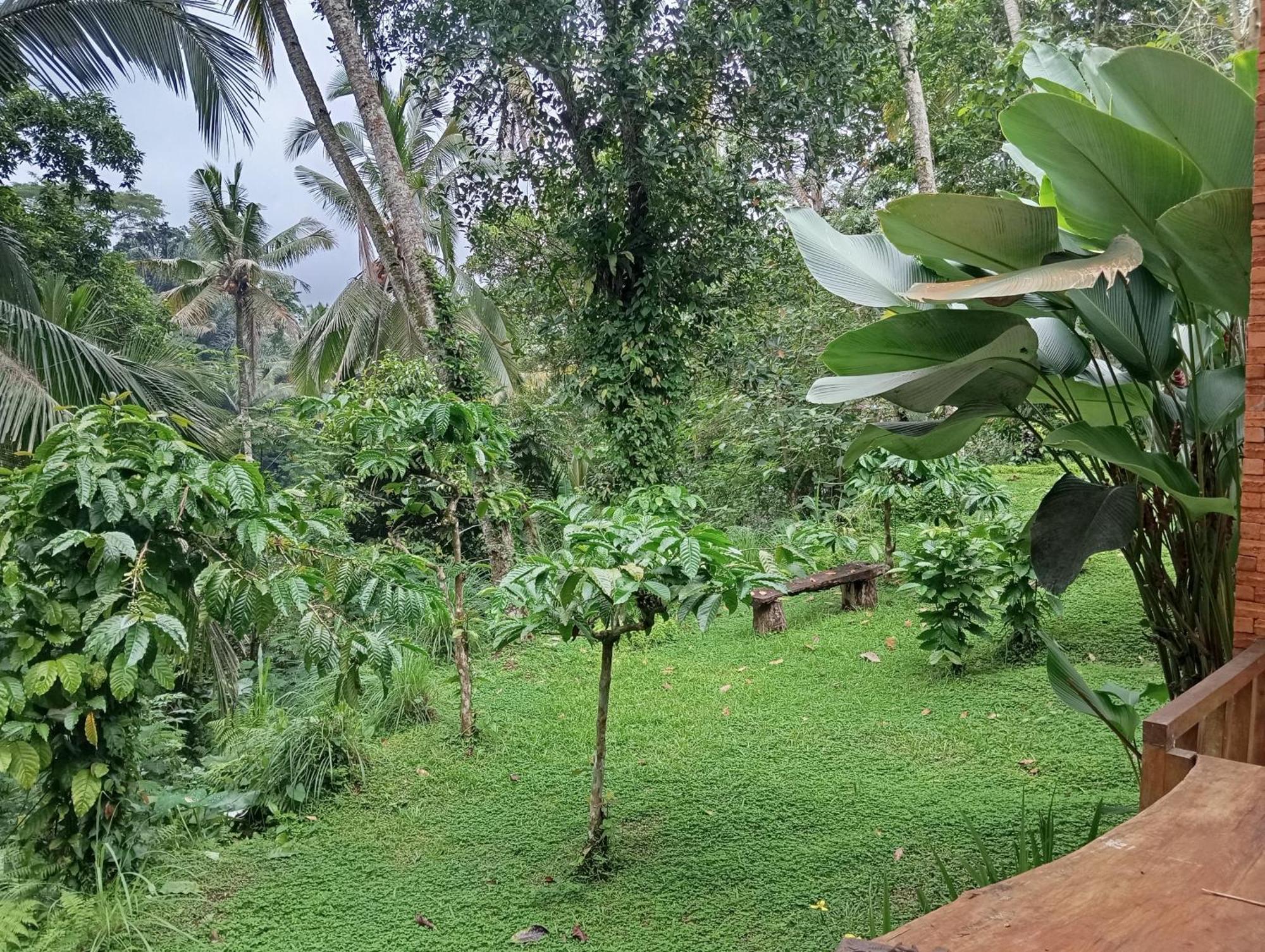 Trecof Jungle Villa *