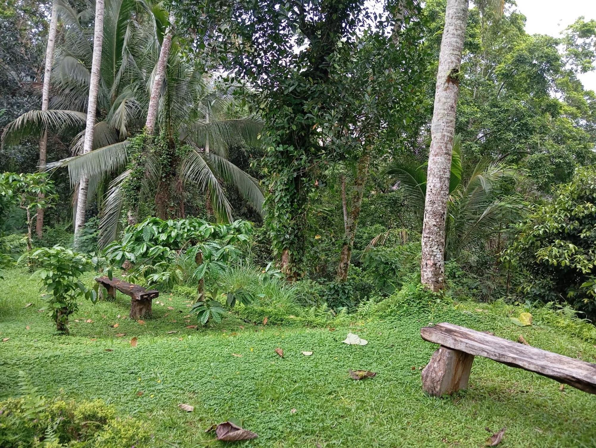Villa Trecof Jungle Ubud (Bali)