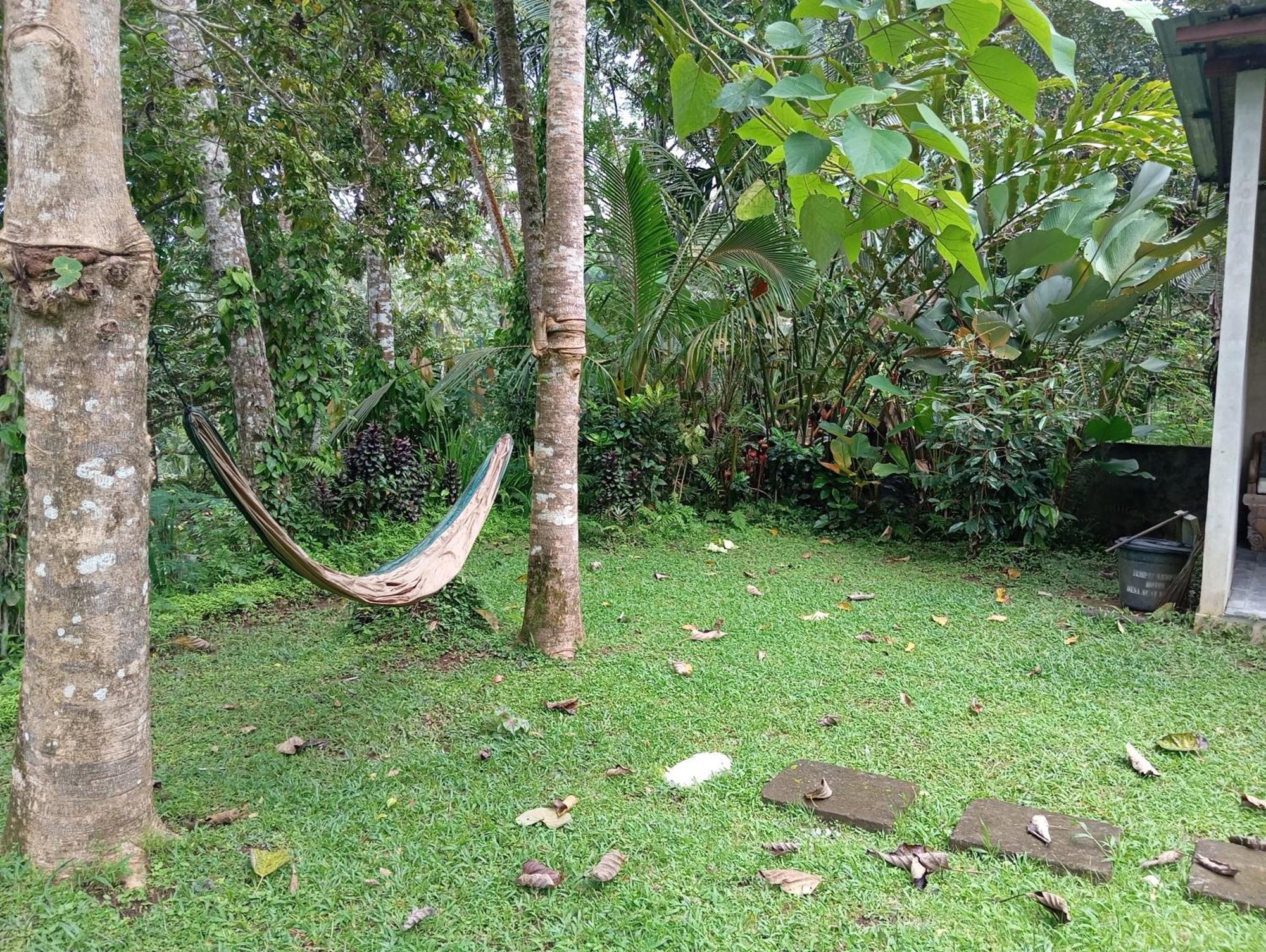 Trecof Jungle *