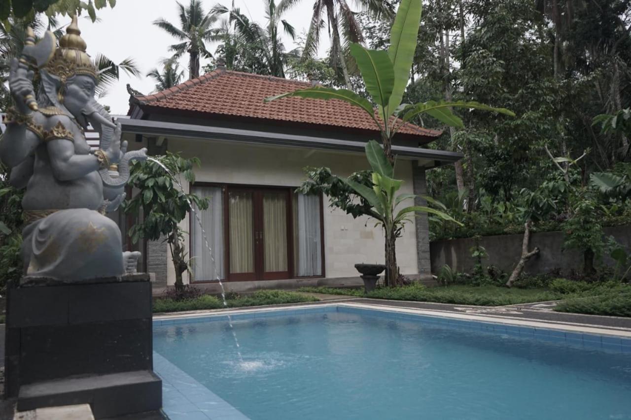 Trecof Jungle Villa