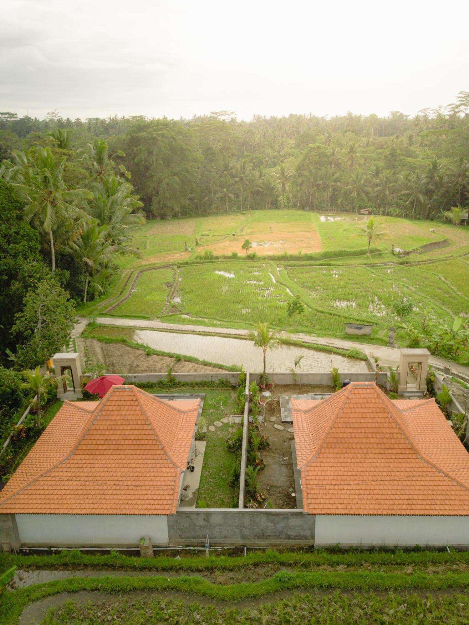 Purana Bed & Breakfast