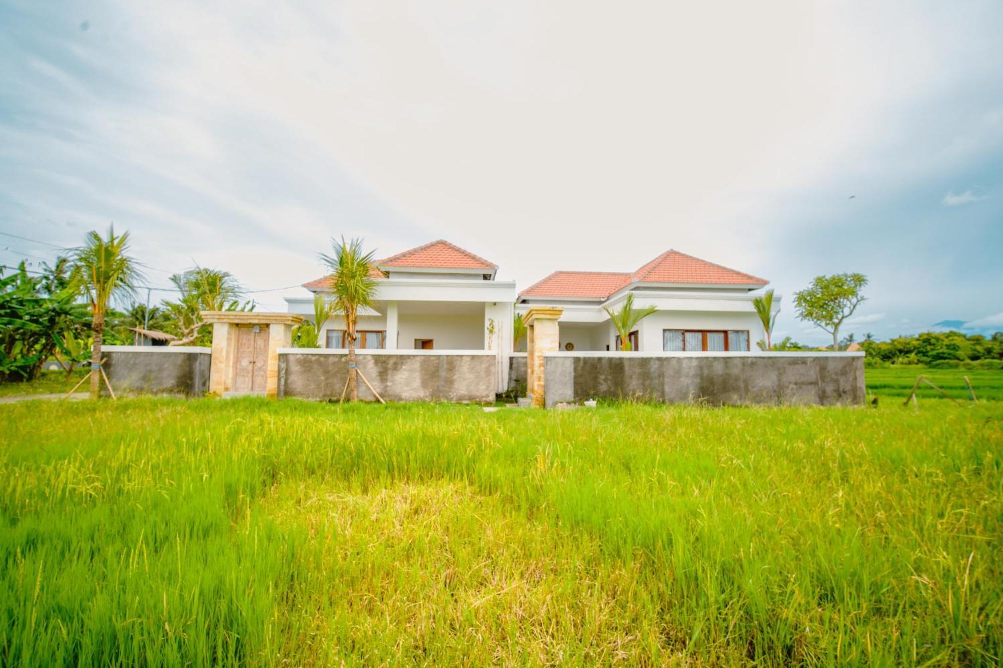 Elden View Private By Eps *