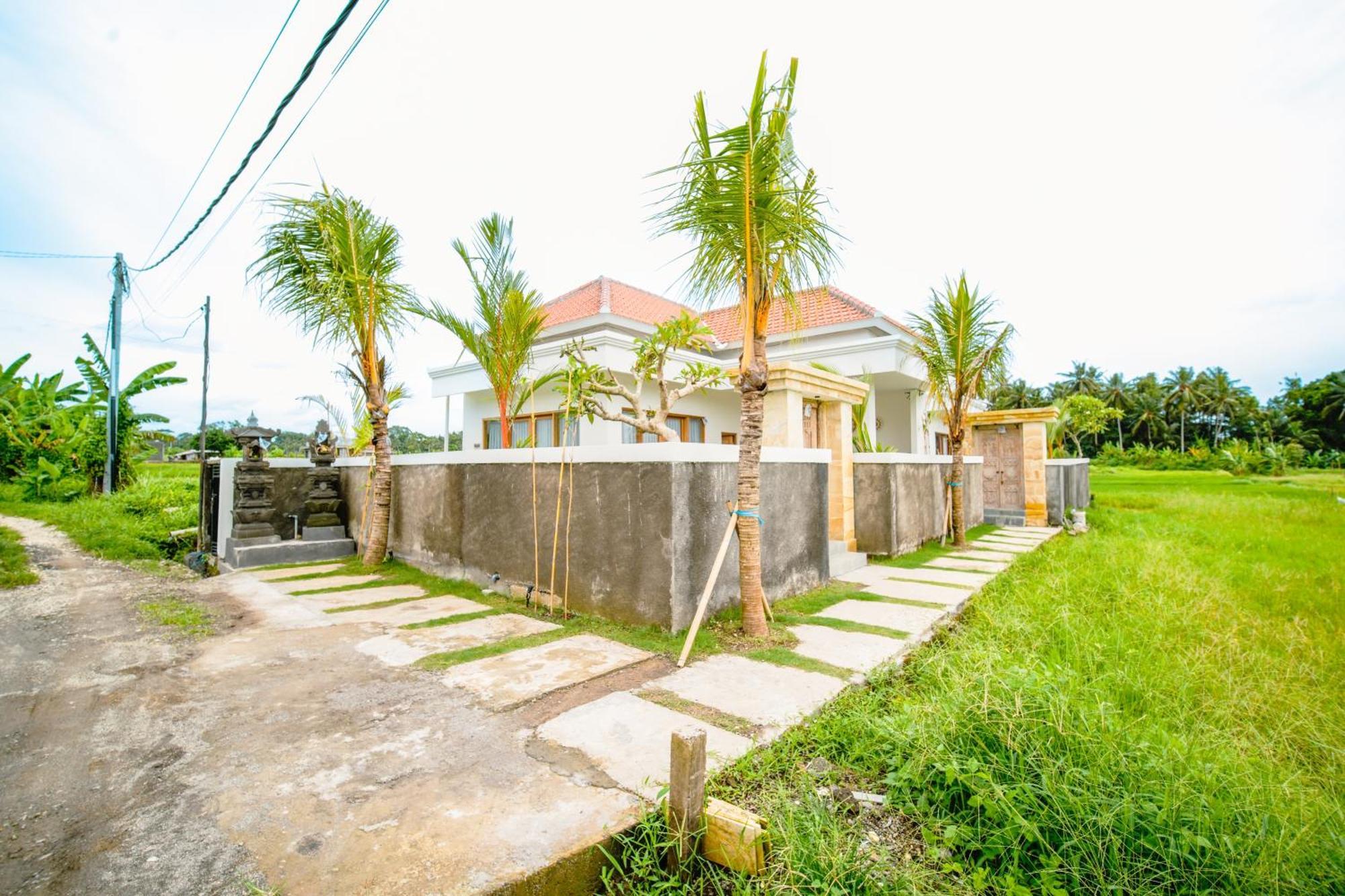 Elden View Private By Eps *