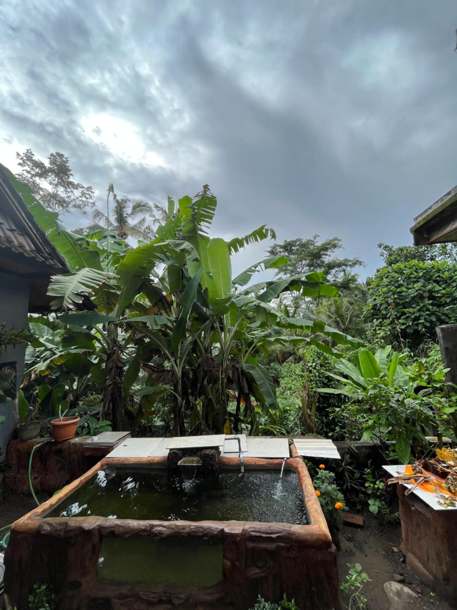 Guest house Sekar Tunjung Ubud (Bali)