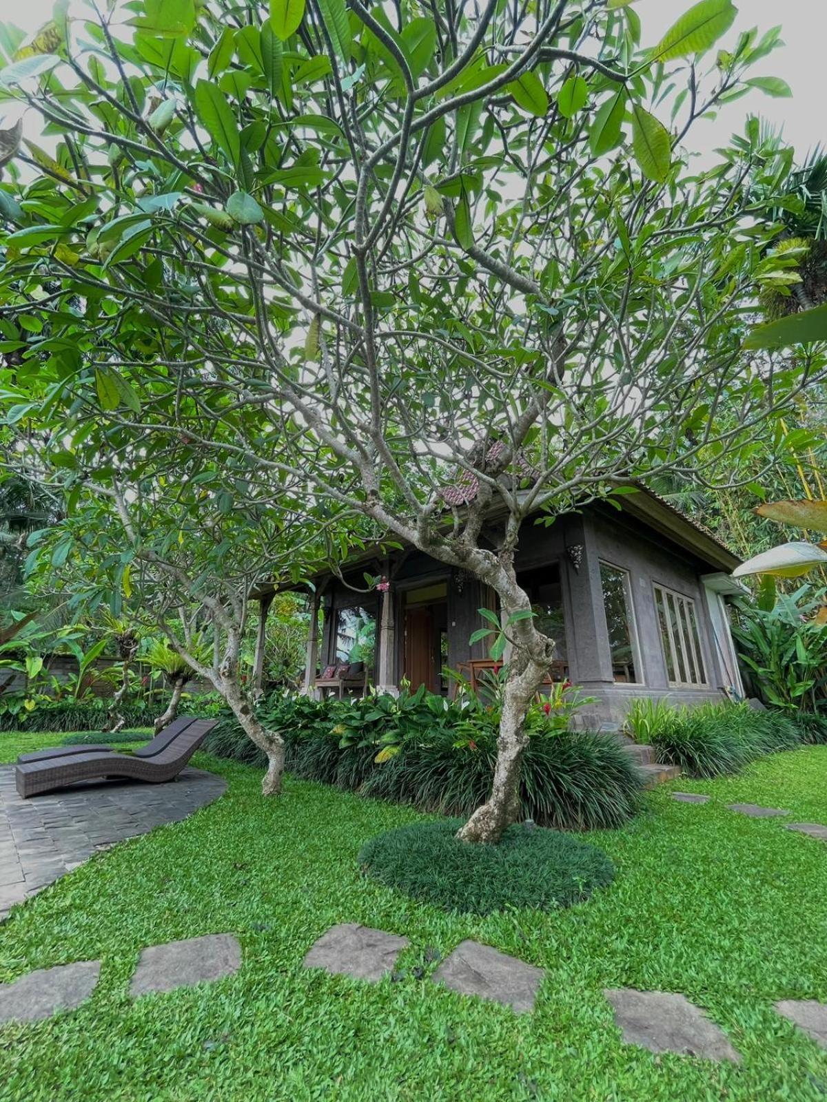 Thani Ubud