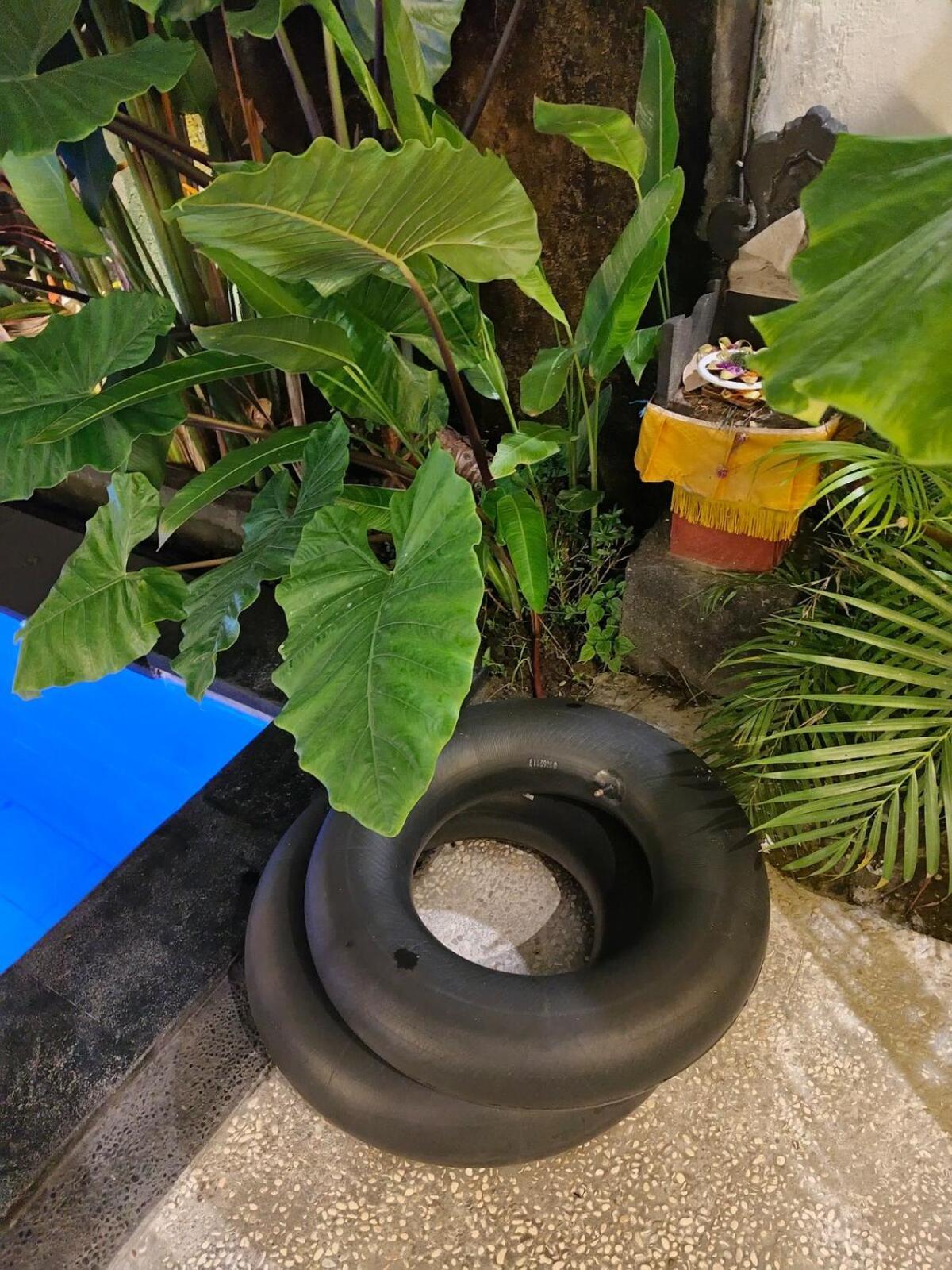 Villa Ratu Ayu 8 Bedroom Ubud (Bali)